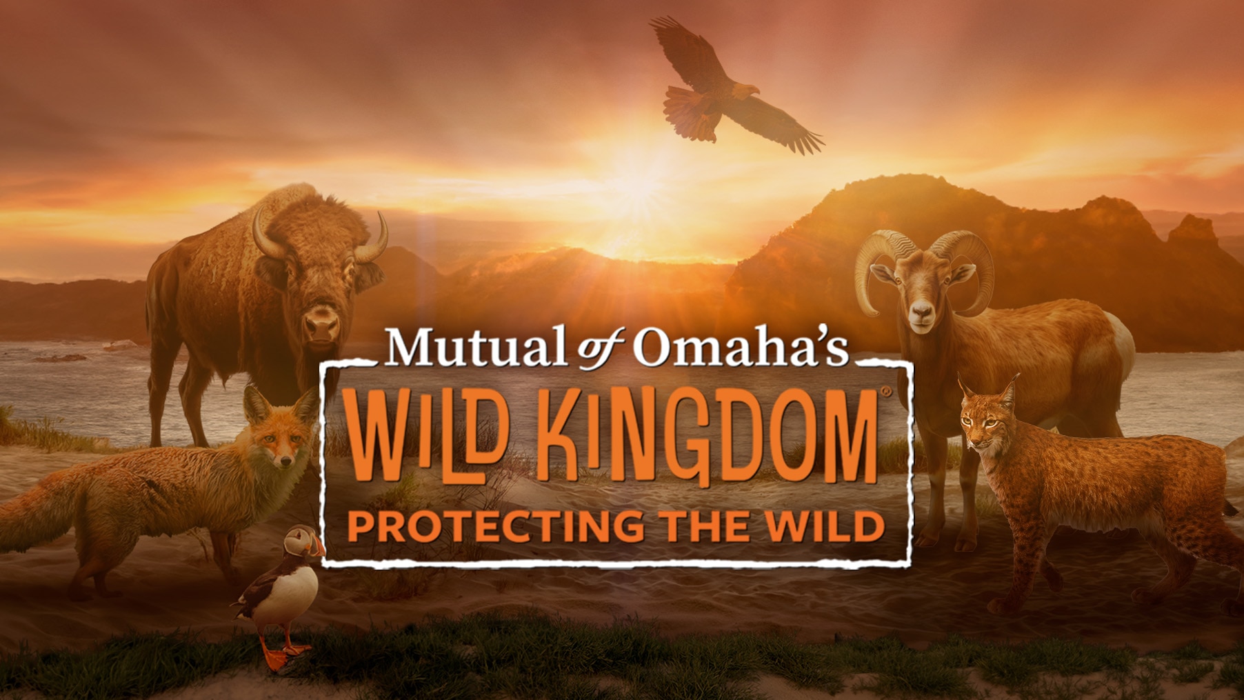 Mutual of Omaha’s Wild Kingdom Protecting the Wild