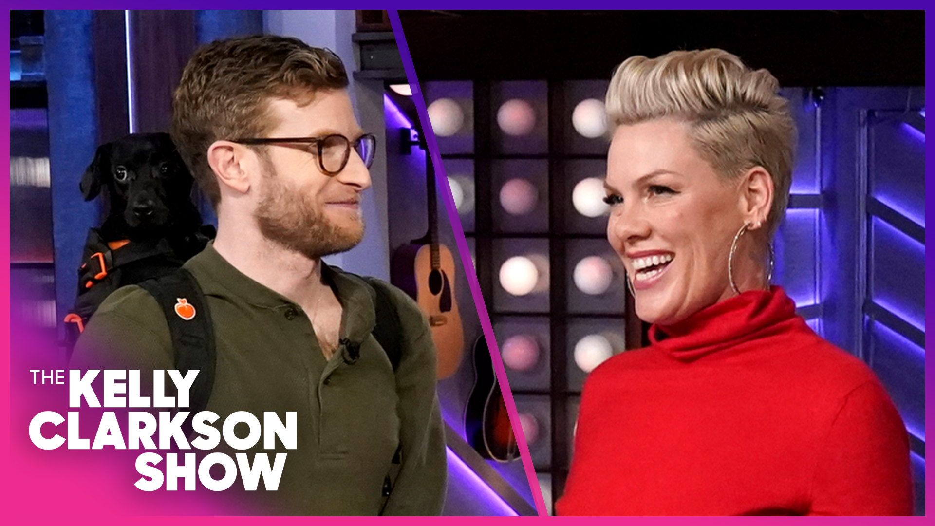 P!nk Meets Viral Influencer Carrying Dogs Around NYC To Get Them Adopted