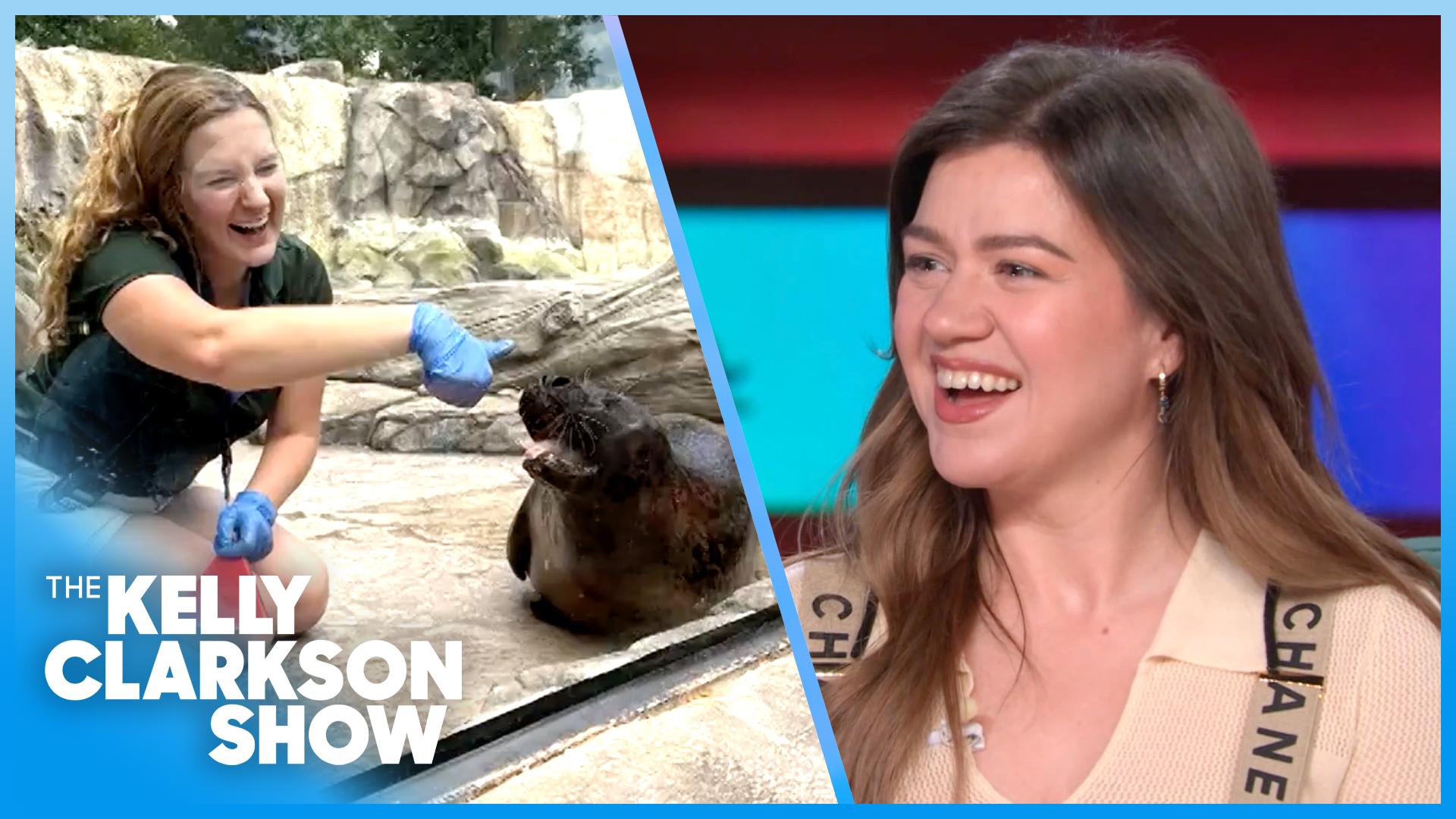 Kelly Clarkson Loves Fort Wayne Zoo 'Teens For Nature' Program