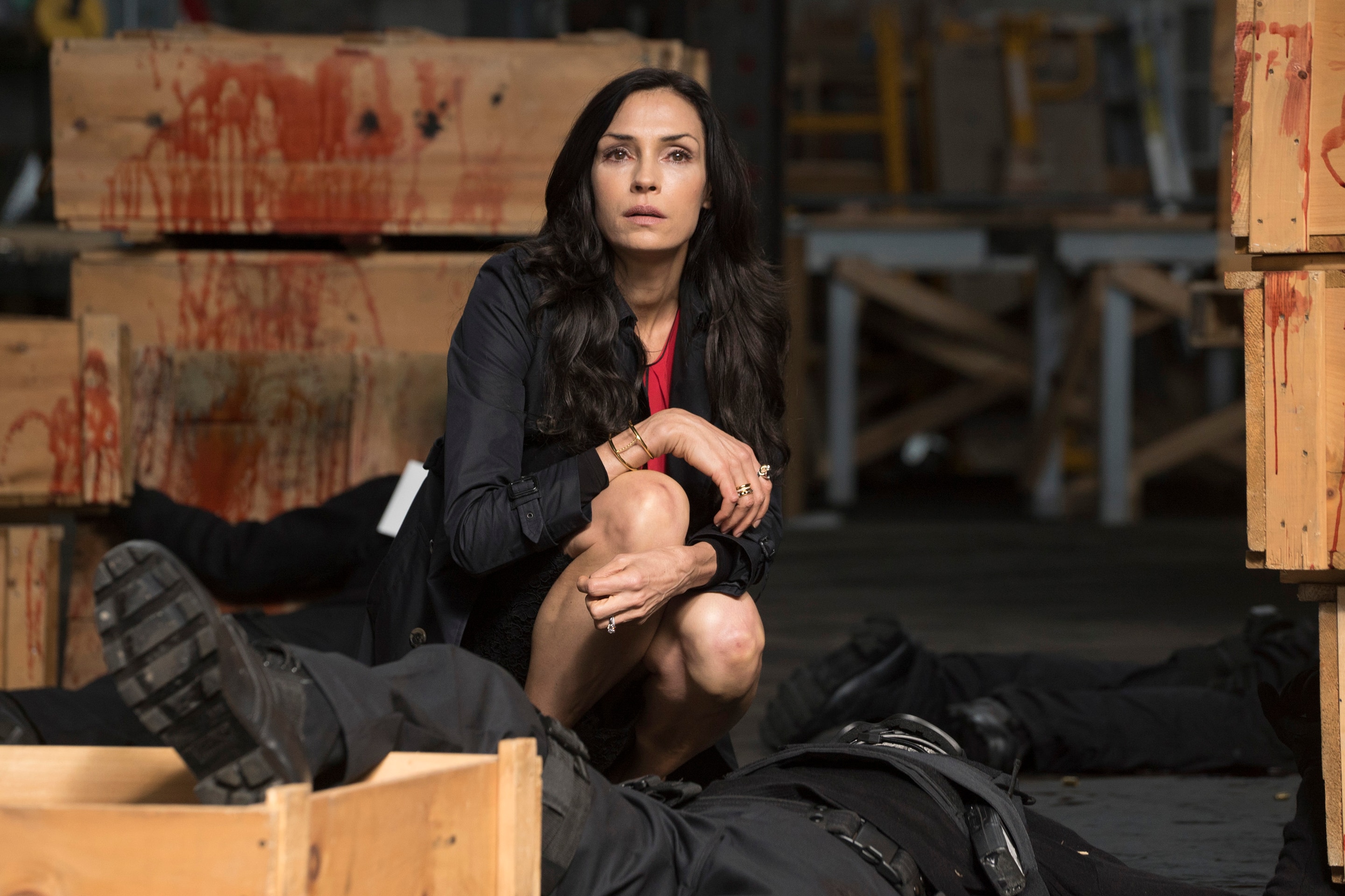 View photos from The <b>Blacklist</b> Susan Hargrave on NBC.com. 