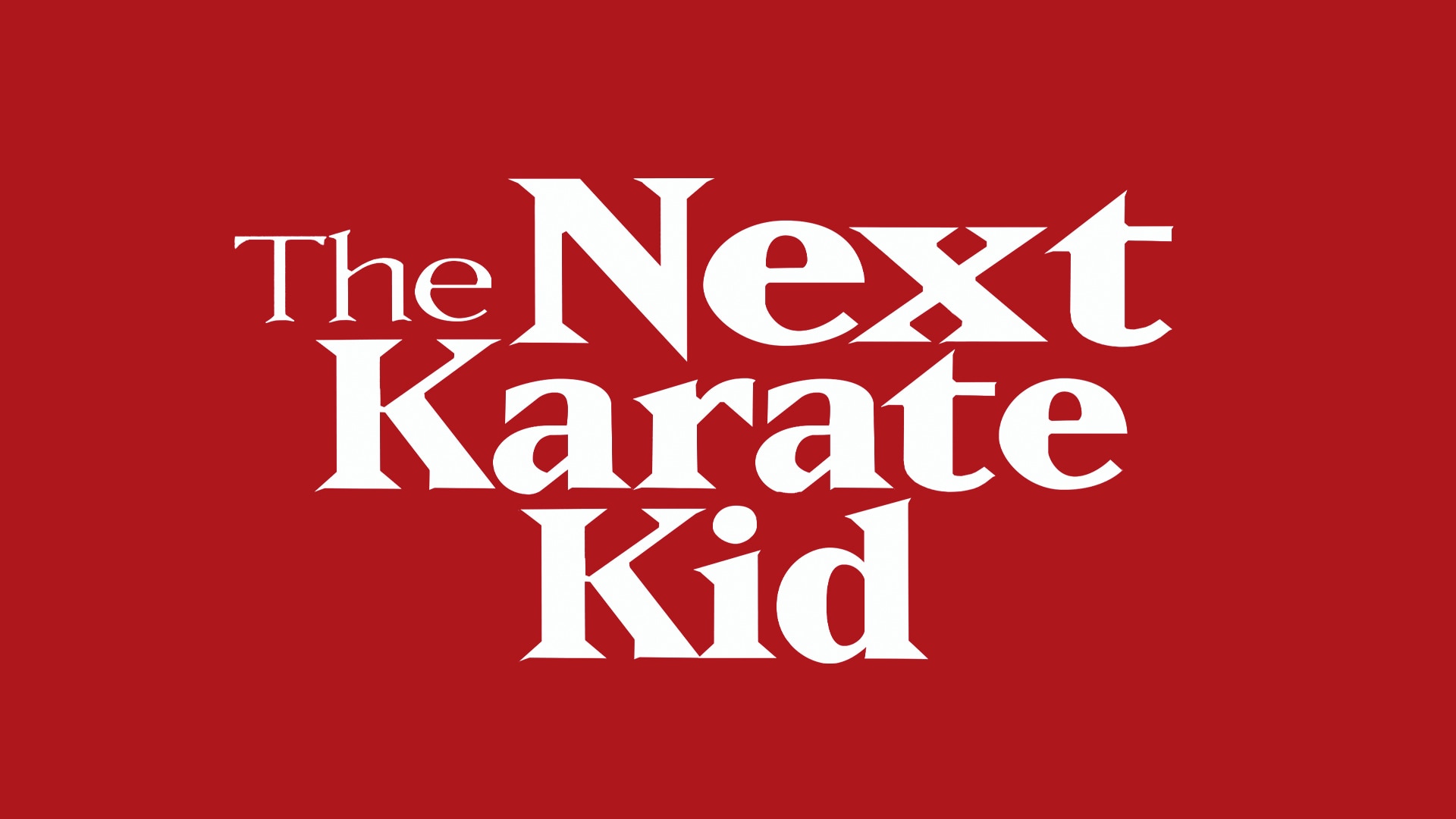 The Next Karate Kid