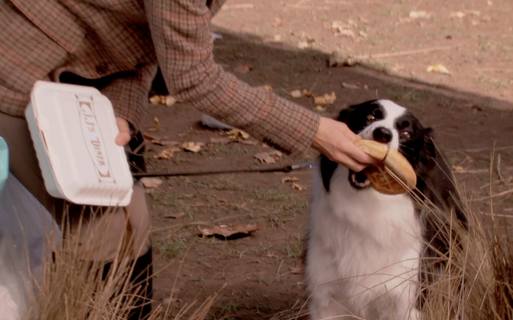 Parks and Recreation Pawnee vs. Eagleton! Photo 150861