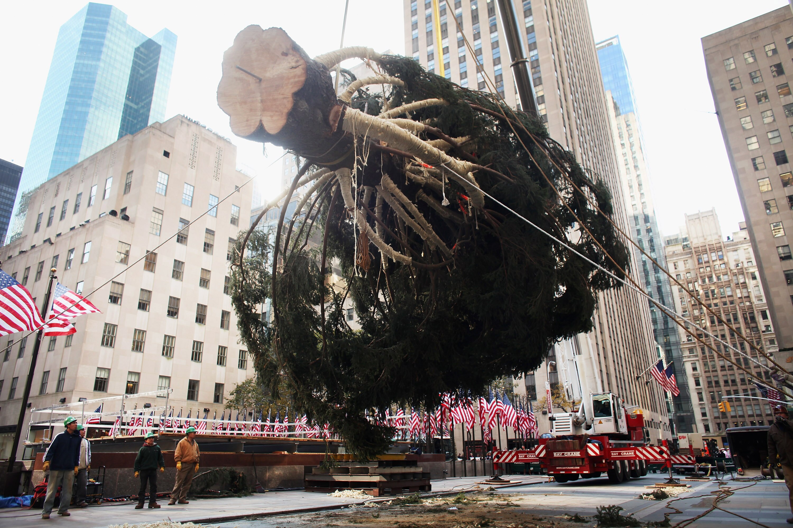 Christmas in Rockefeller Center: Rockefeller Center Christmas Tree