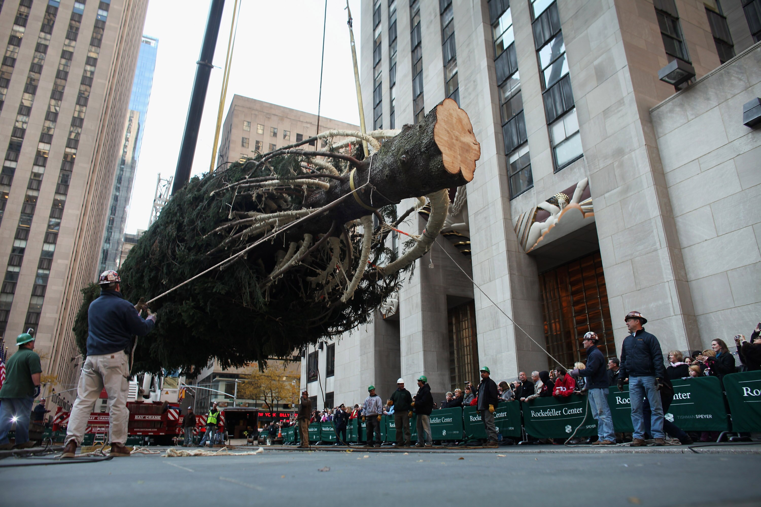 Christmas in Rockefeller Center: Rockefeller Center Christmas Tree