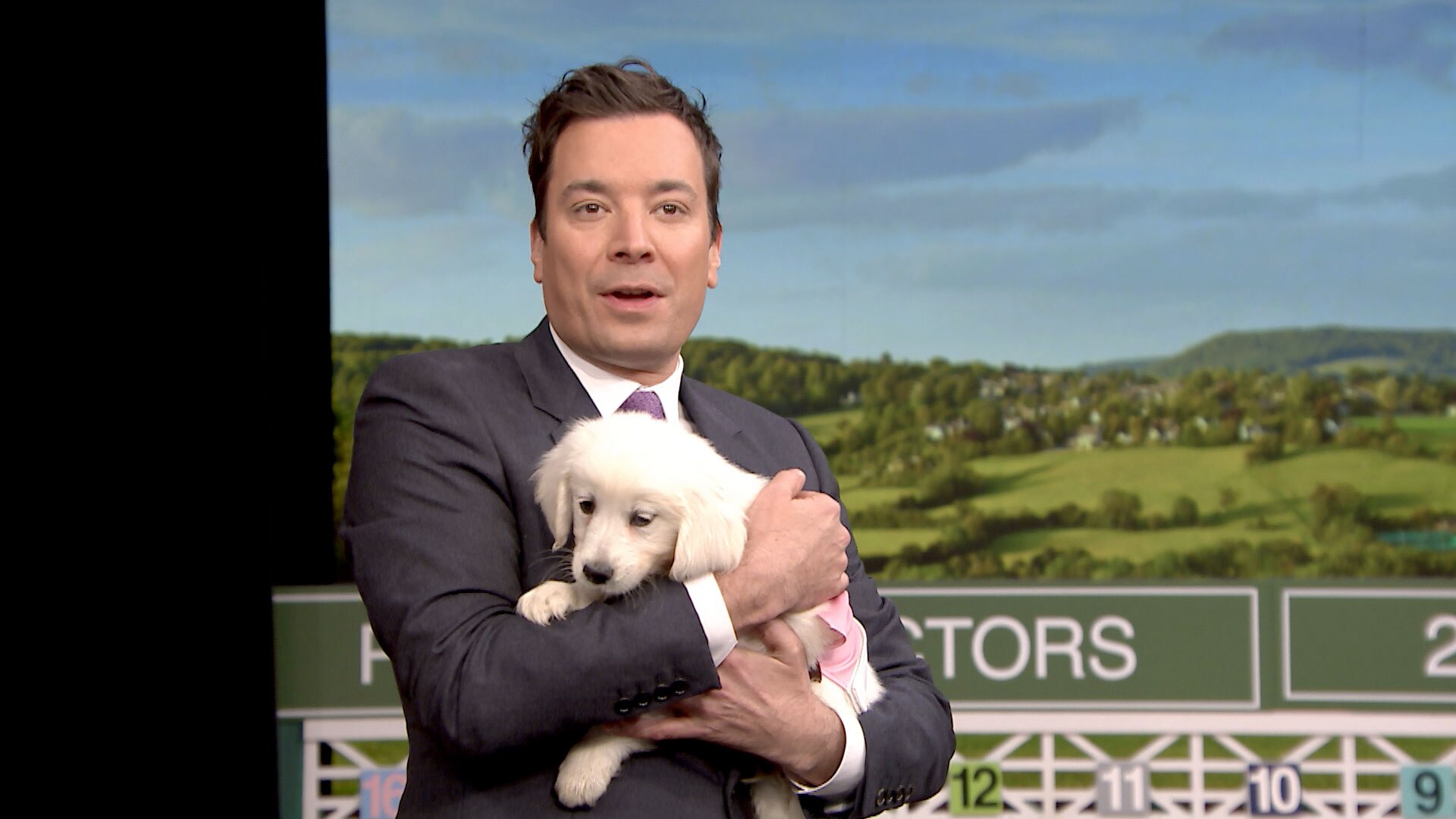 Watch The Tonight Show Starring Jimmy Fallon Highlight: Puppies Predict the 2016 ...1920 x 1080