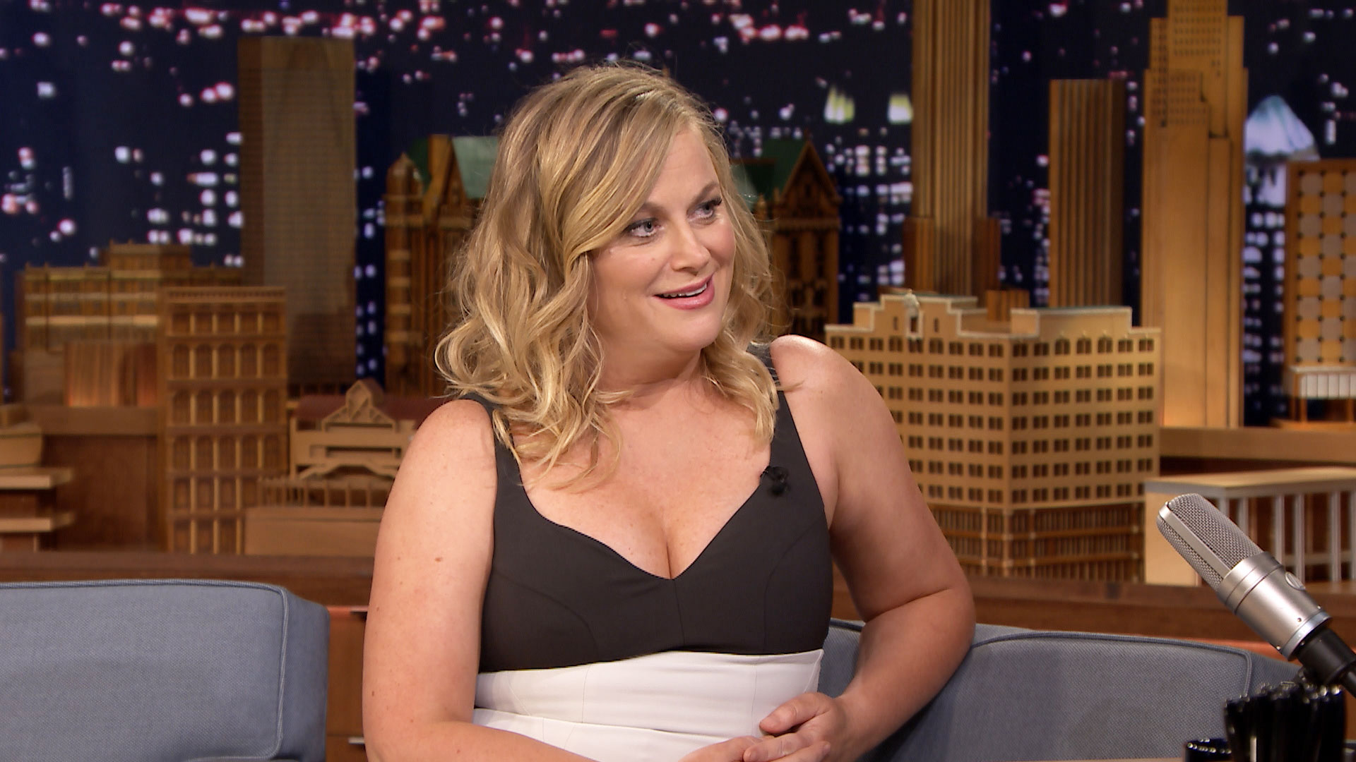 Watch The Tonight Show Starring Jimmy Fallon Interview: Amy Poehler Hates G...