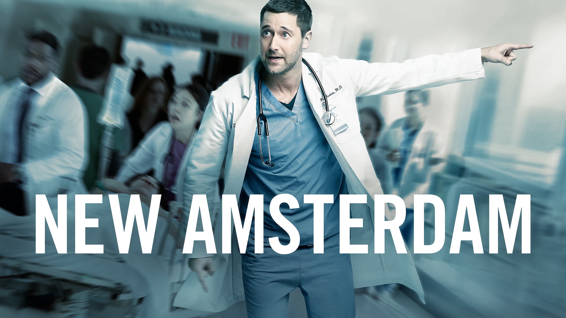 Image result for new amsterdam