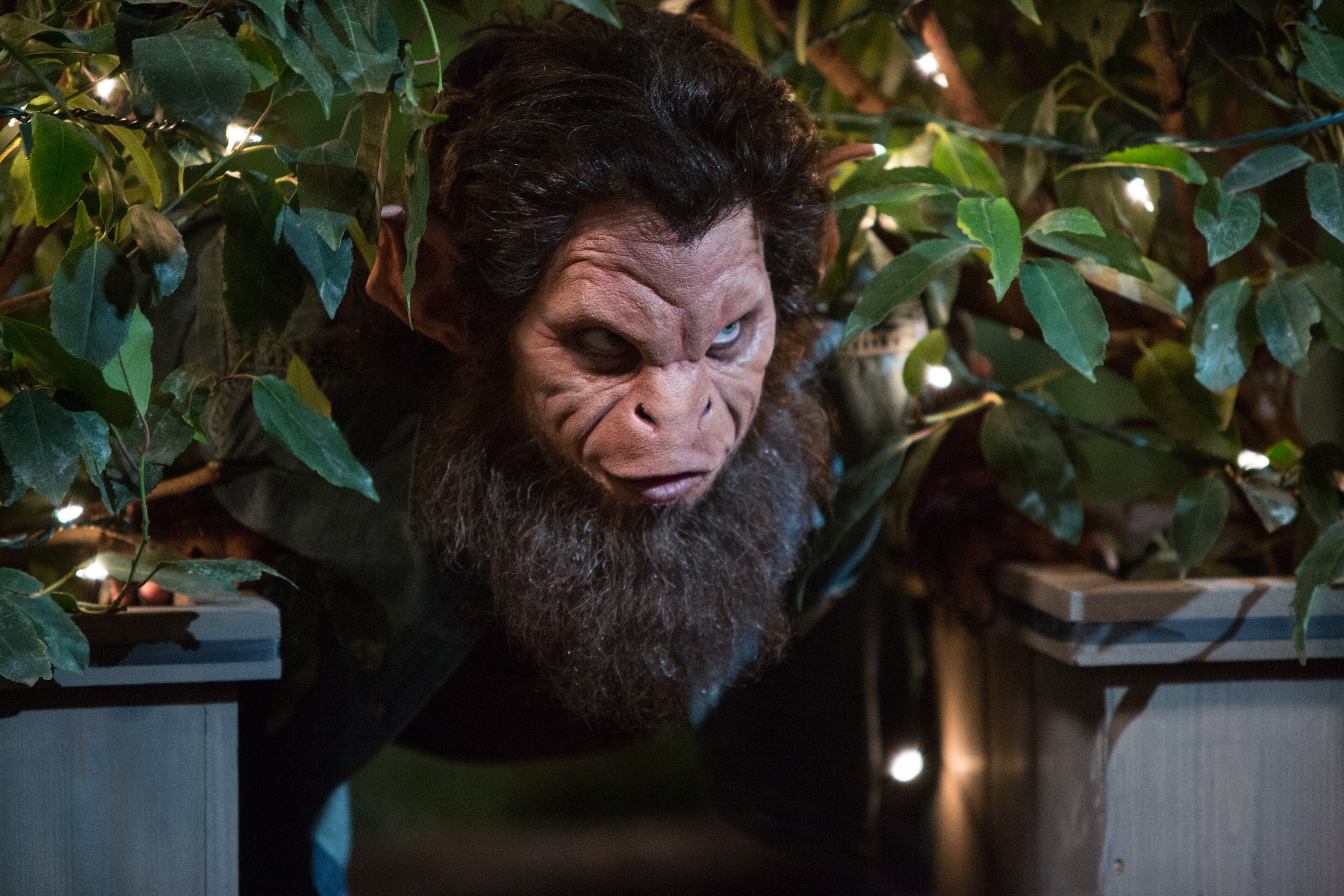 Grimm: The Grimm Who Stole Christmas Photo: 2087586 - NBC.com