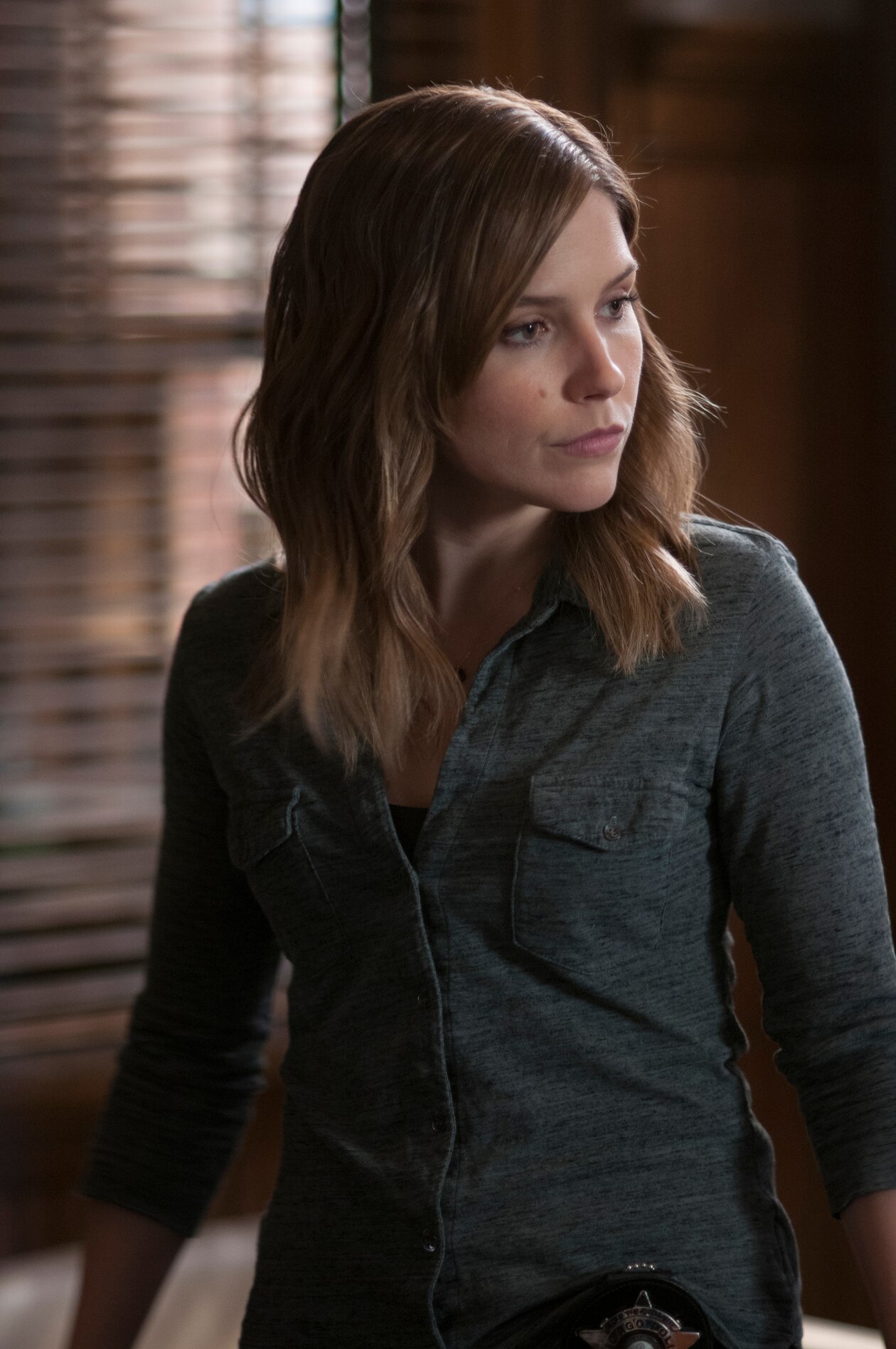 Chicago P.D. A Material Witness Photo 1640701