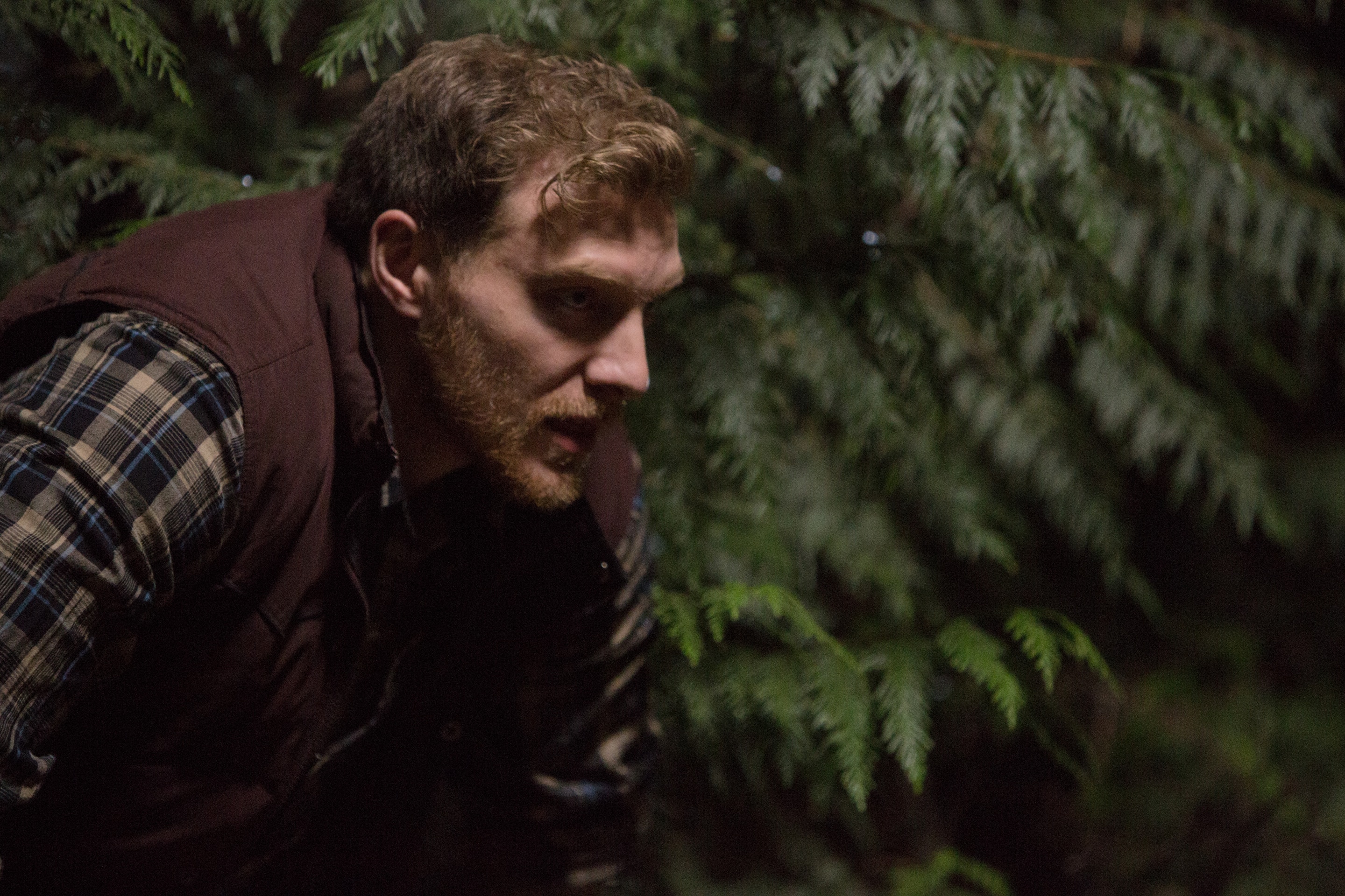 Grimm Iron Hans Photo 2321386