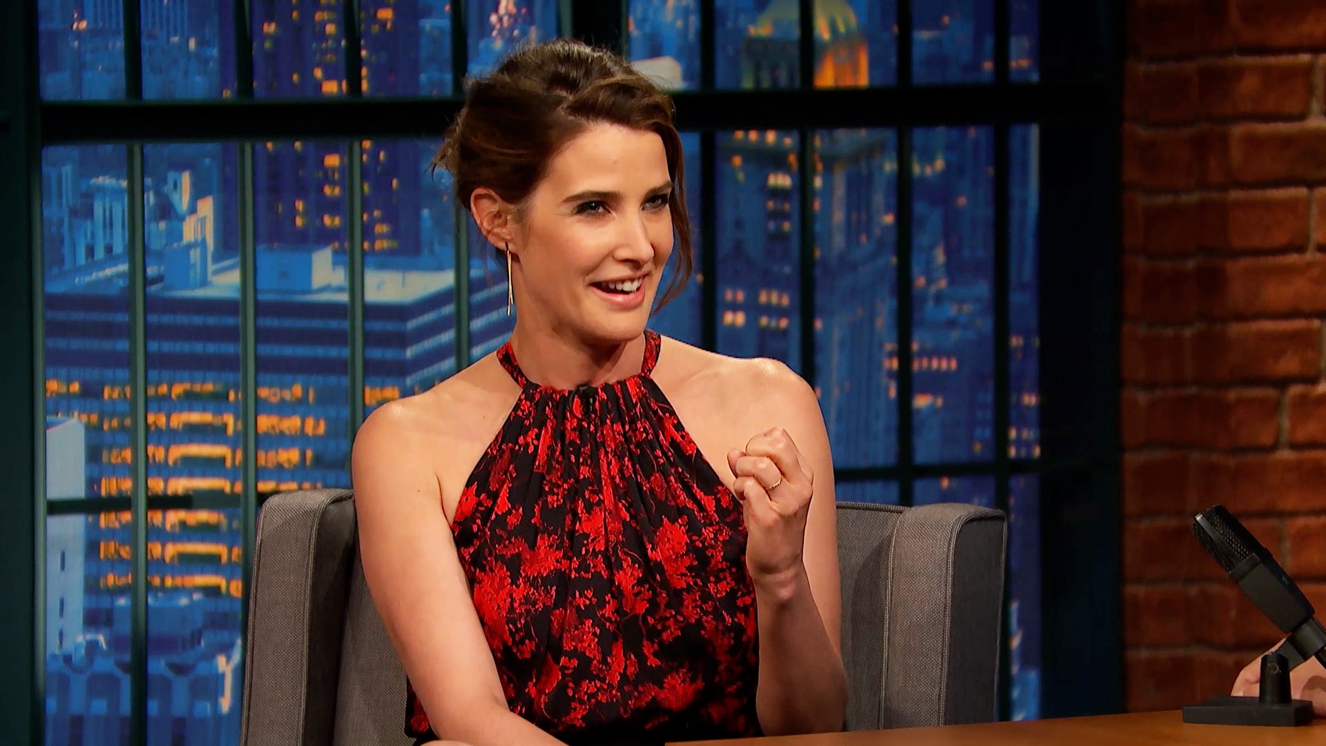 Watch Late Night with Seth Meyers Interview: Cobie Smulders' Husband T...