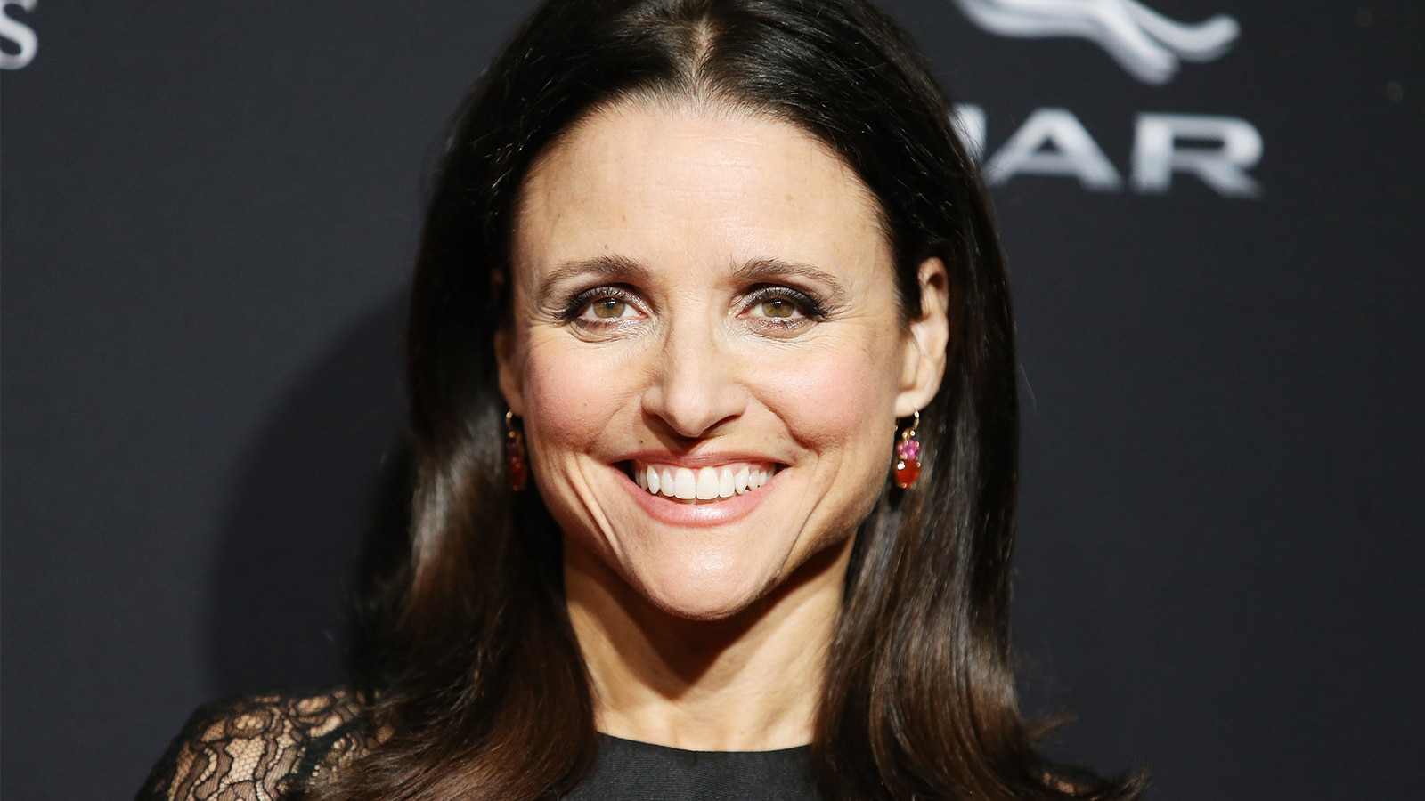 Watch Access Hollywood Interview Julia LouisDreyfus' 'Veep' CoStars