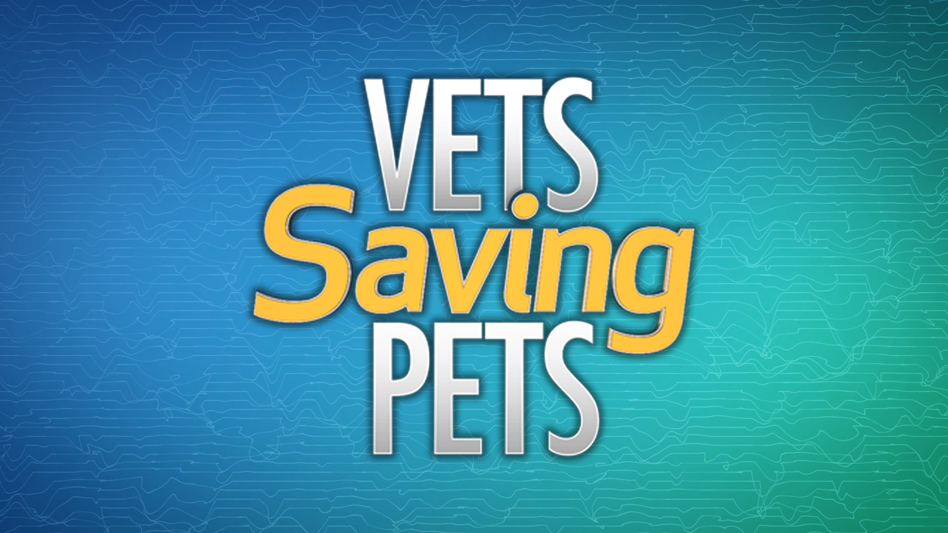 Vets Saving Pets