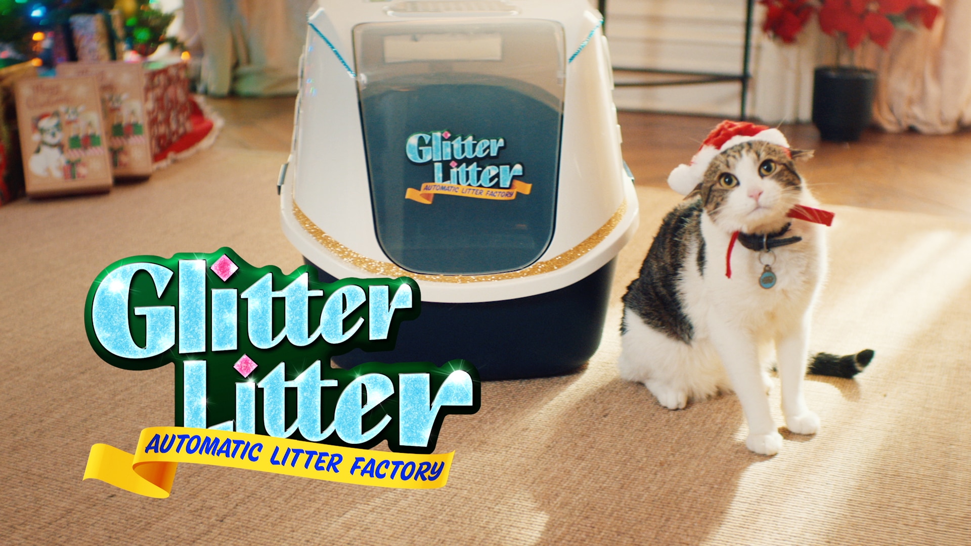 Watch Saturday Night Live  Exclusive Cut for Time Glitter Litter