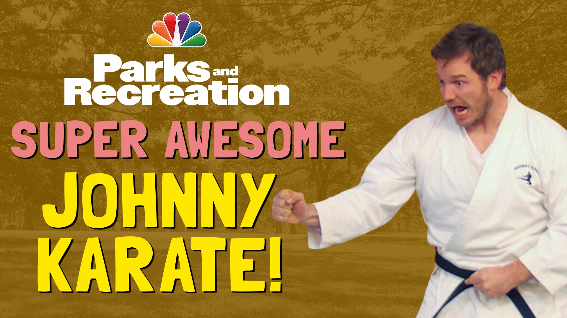 johnny karate 5 karate moves to success
