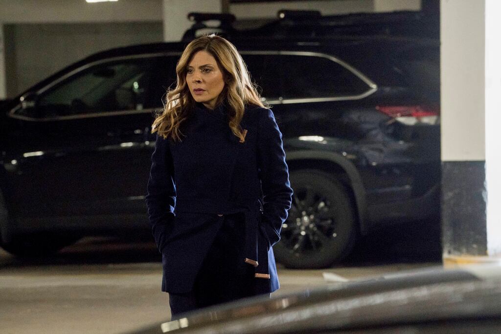 nikki staines law and order svu
