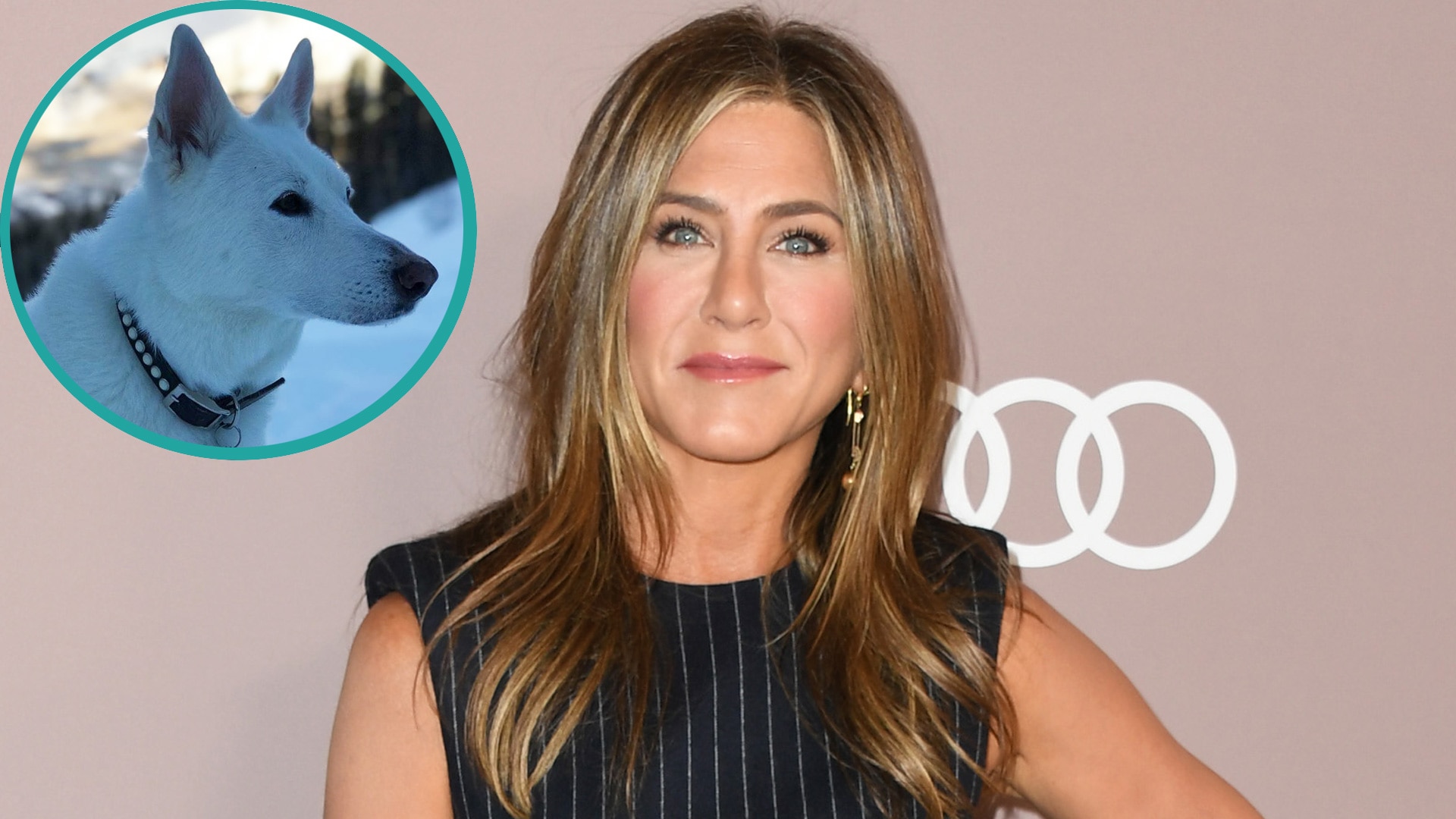 Watch Access Hollywood Interview Jennifer Aniston Honors Late Dog