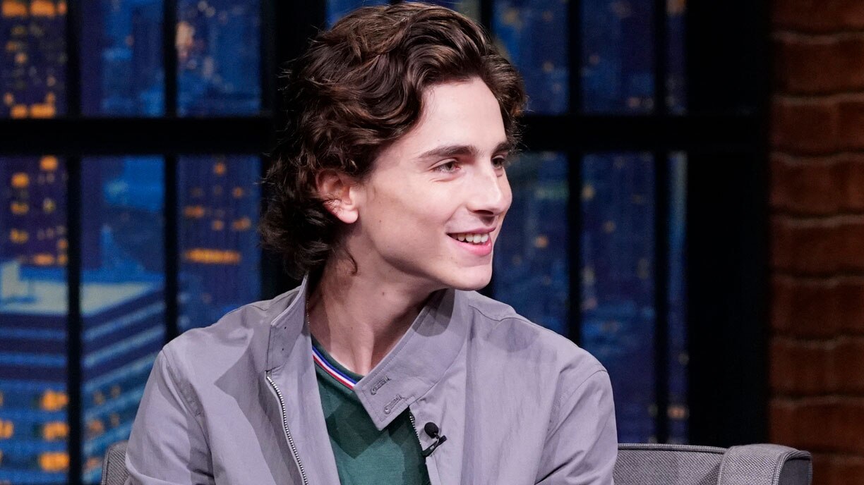 Unveiling Timothée Chalamet: Highlights From His Latest Interviews - Image 4