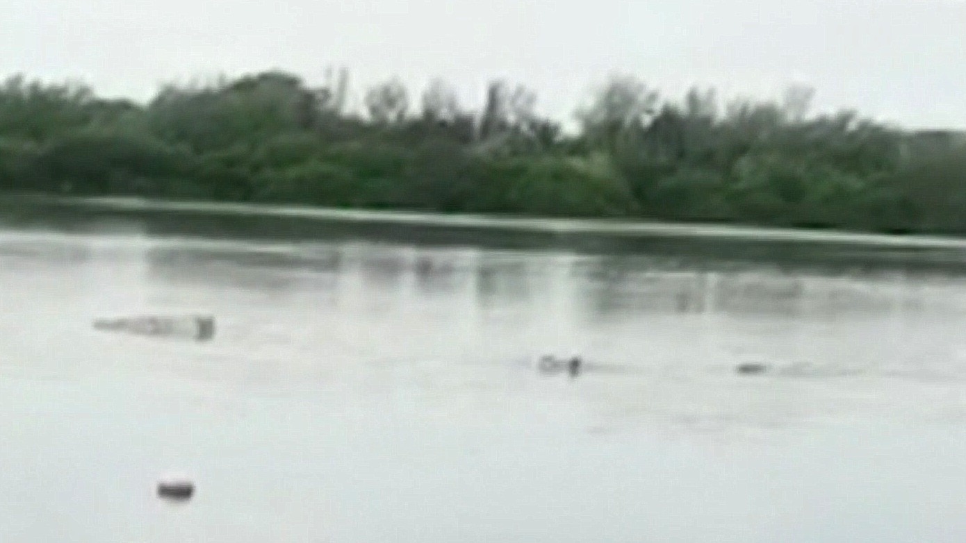 Watch Al Rojo Vivo Highlight: Hombre sin hogar muere devorado por un  cocodrilo en una laguna de México 