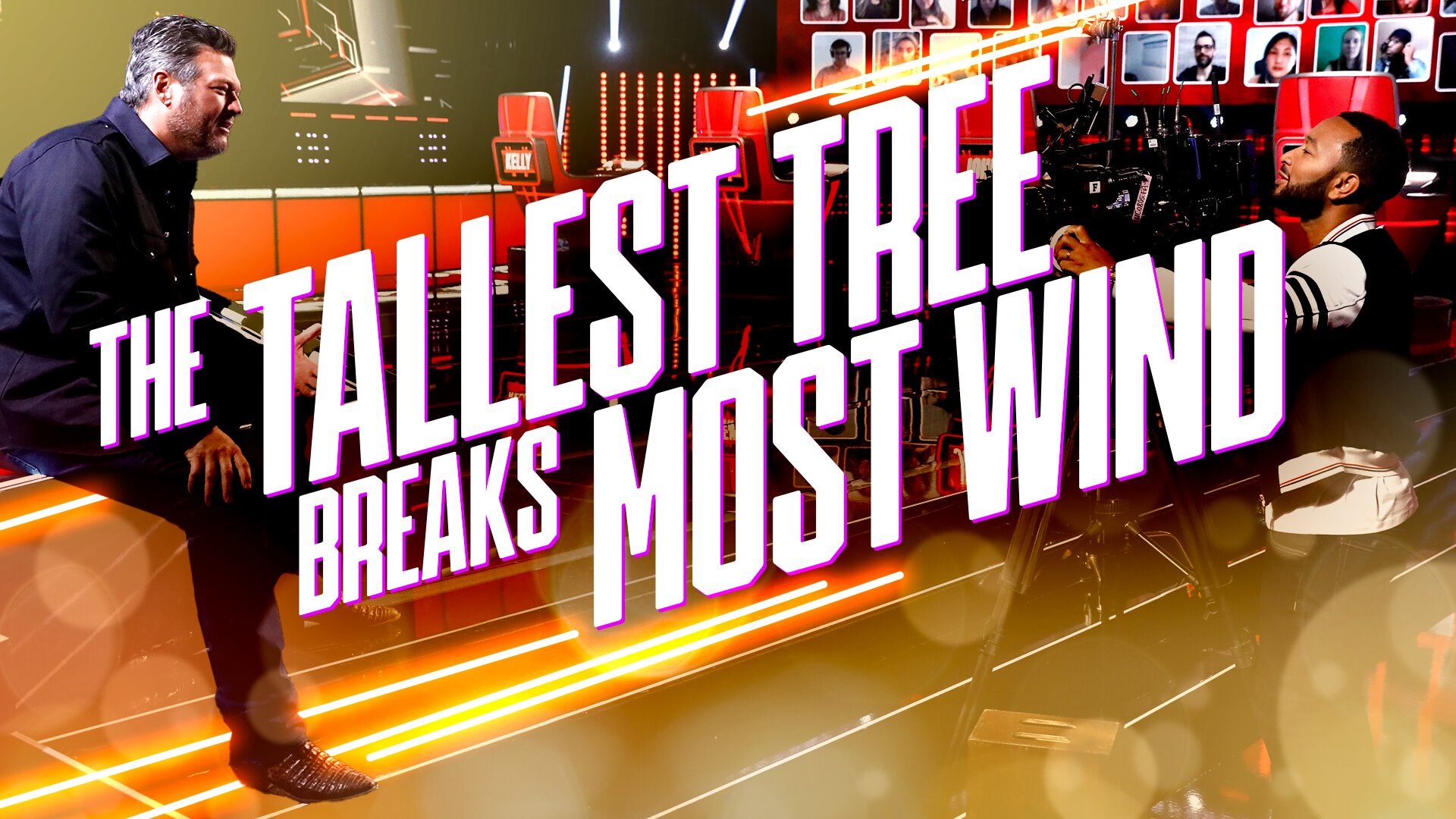 Watch The Voice Web Exclusive Does The Tallest Tree Catch Or Break The
