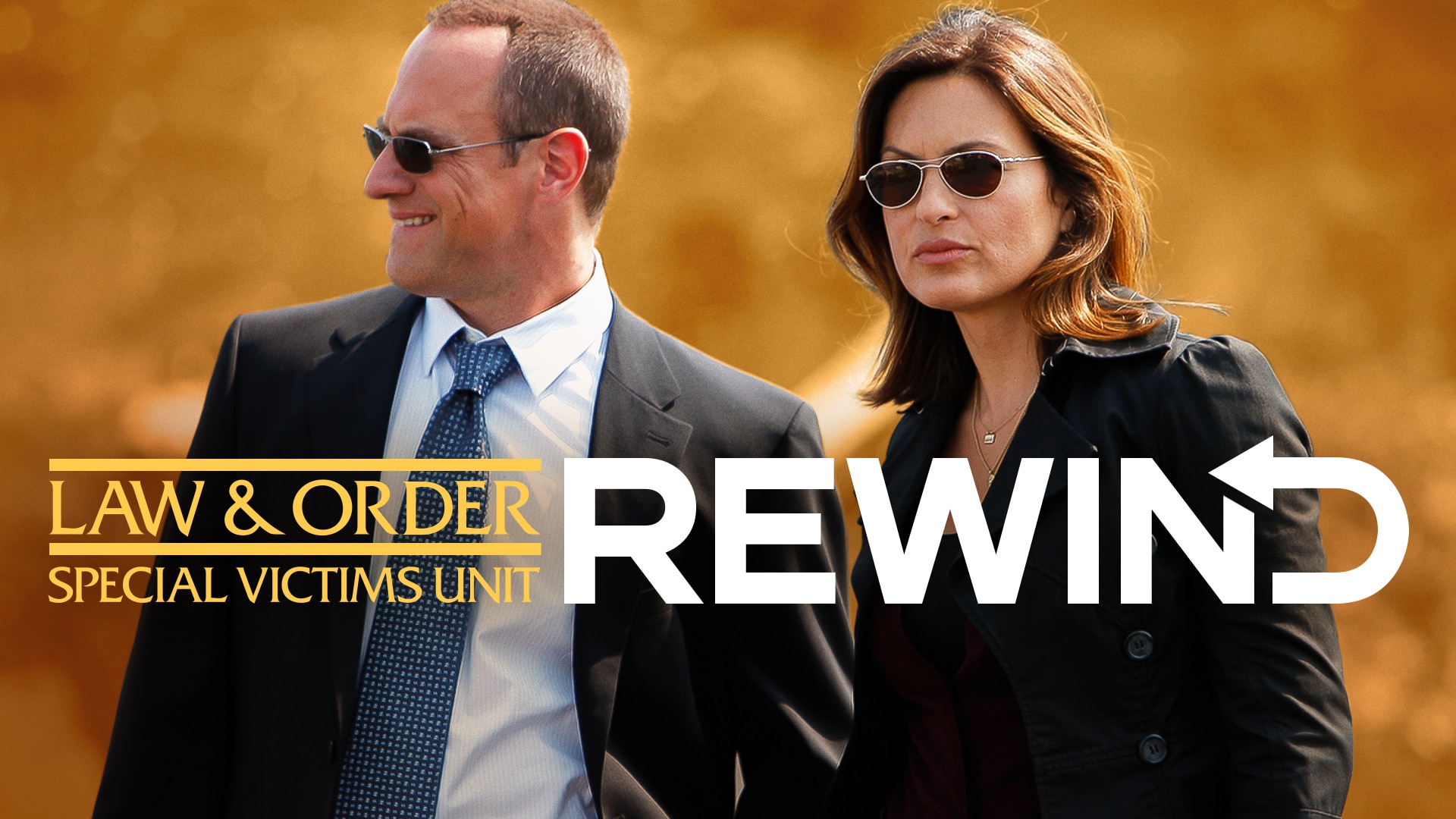 Watch Law & Order Special Victims Unit Web Exclusive Stabler Endures