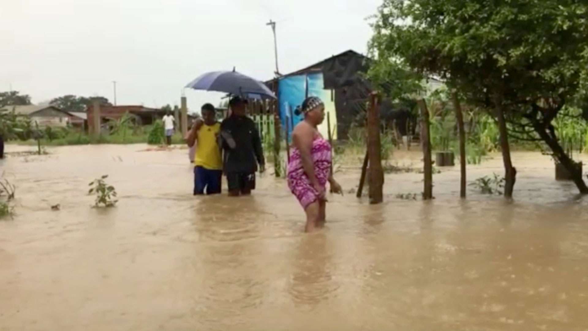 Watch Noticias Telemundo Mediodía Highlight: Lluvias ...