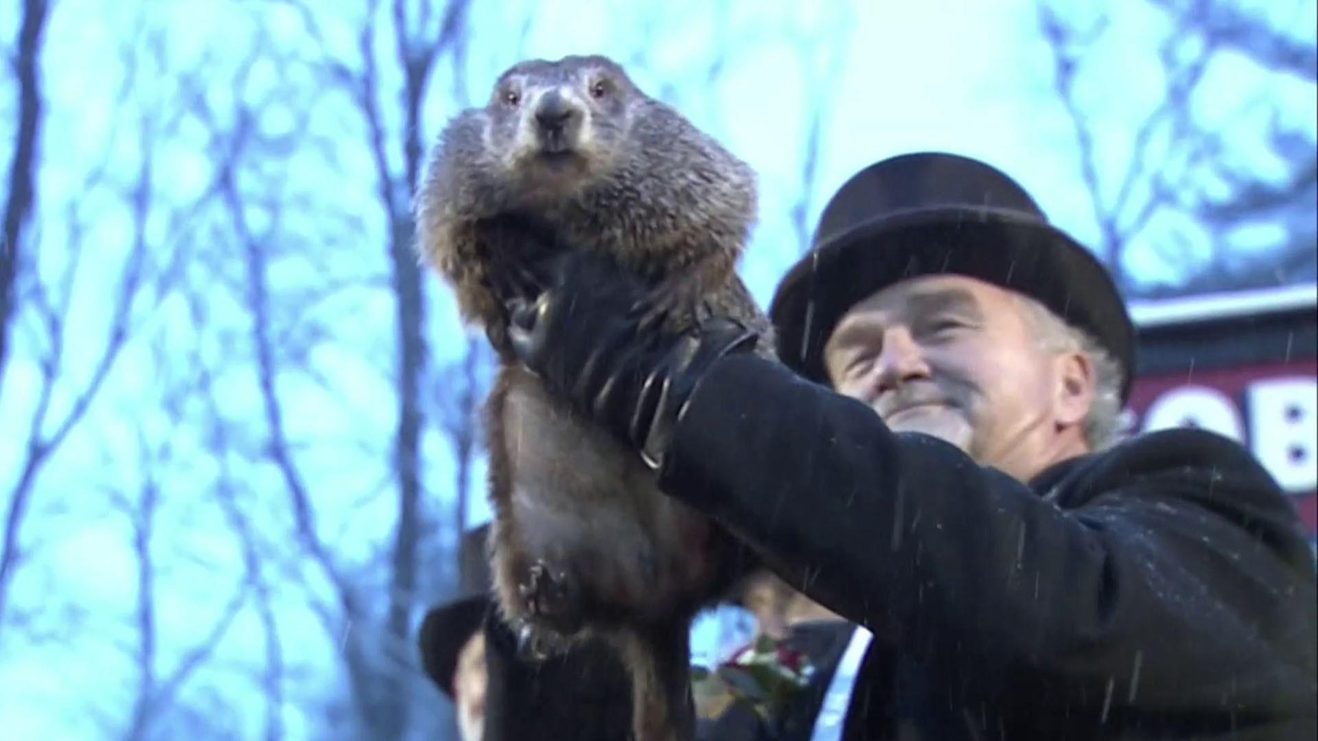 Watch TODAY Highlight Punxsutawney Phil will do Groundhog Day