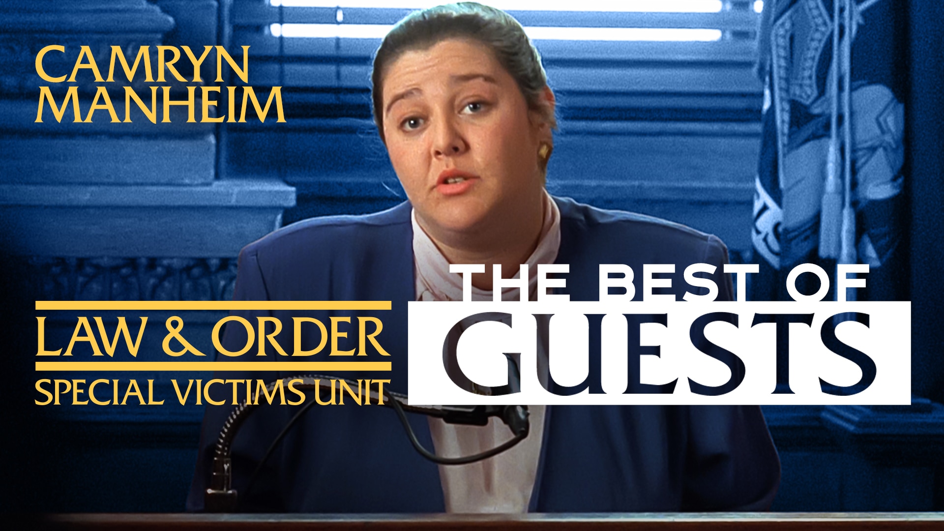 Watch Law & Order: Special Victims Unit Web Exclusive ...