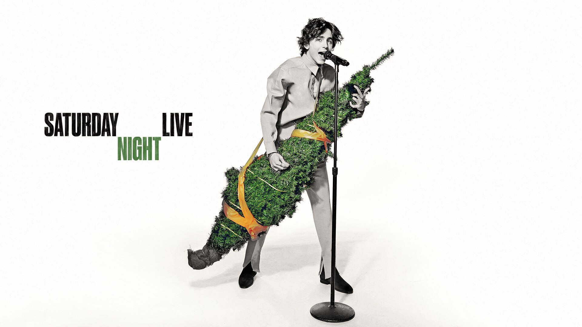 Скетч snl