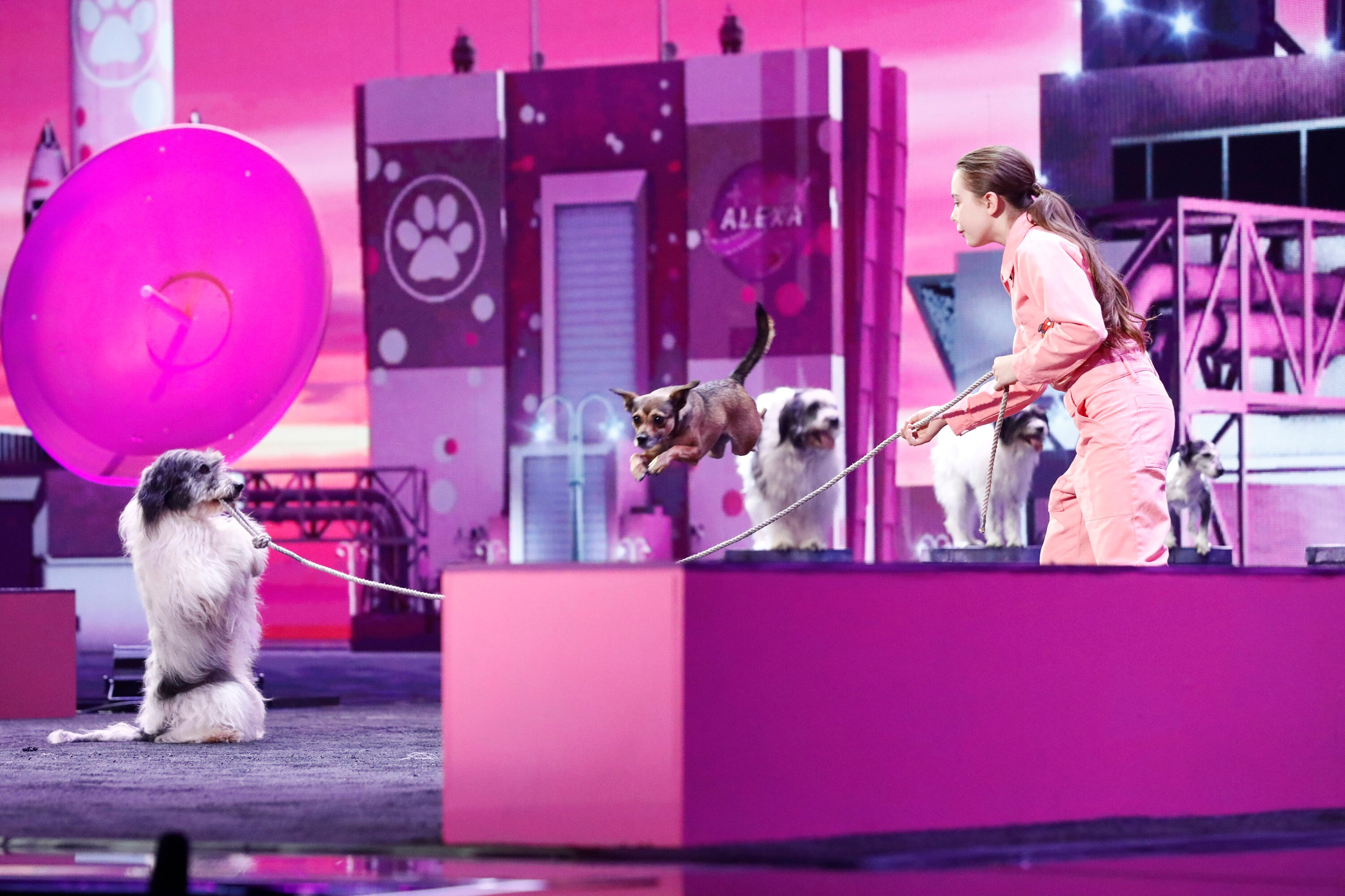 America's Got Talent: The Champions Finals Photo: 3441340 - NBC.com