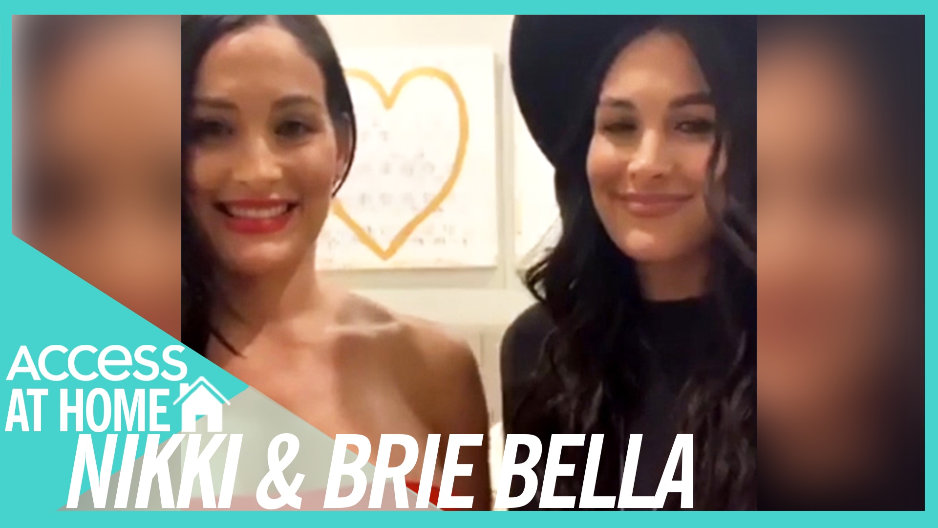 Watch Access Hollywood Interview Nikki Bella & Brie Bella Were