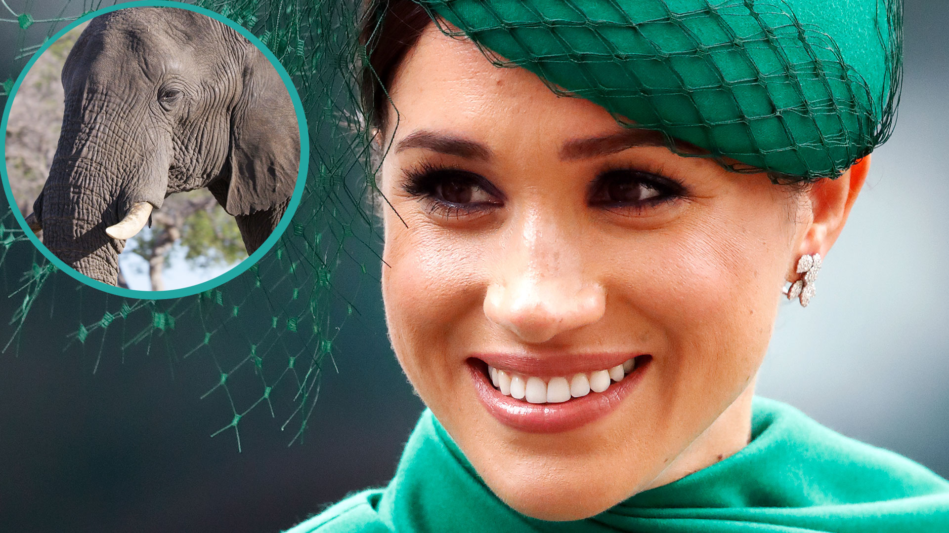 Watch Access Hollywood Interview Meghan Markle's Disney Voiceover Is Here Hear Her Powerful