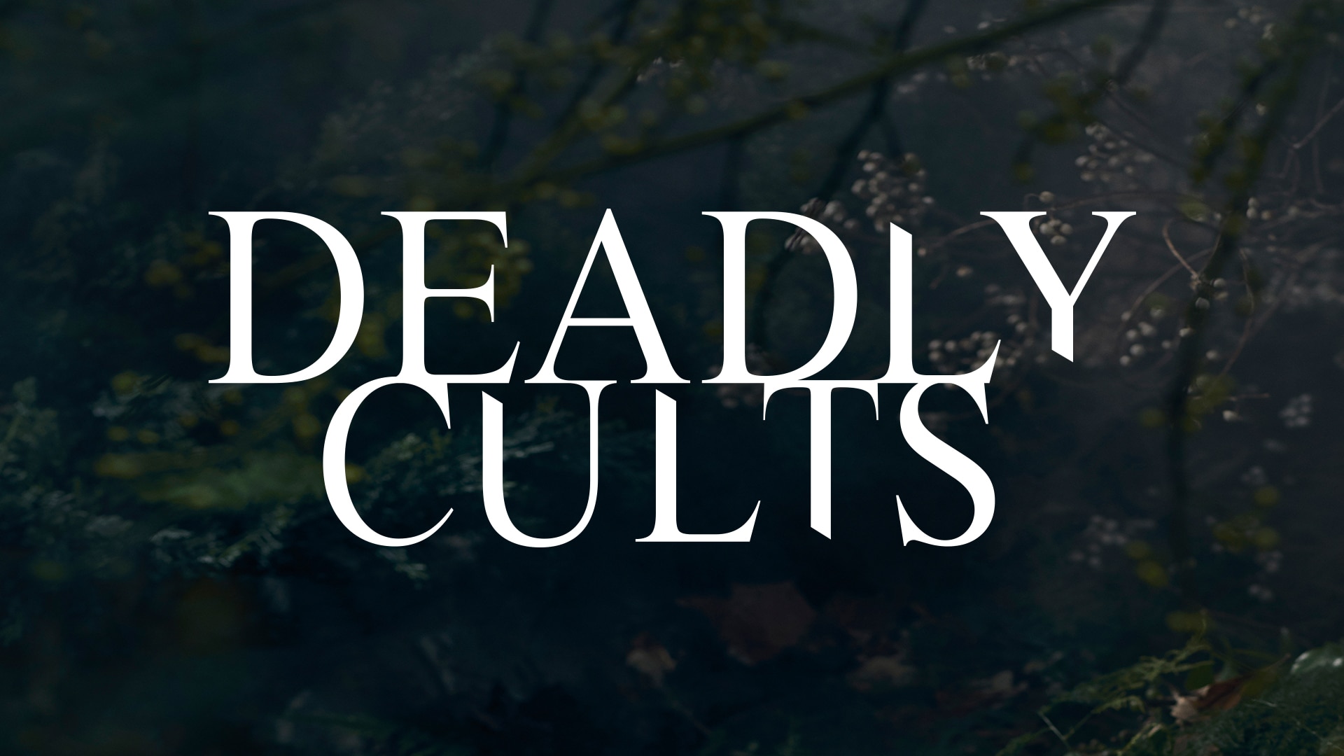 Deadly Cults - NBC.com