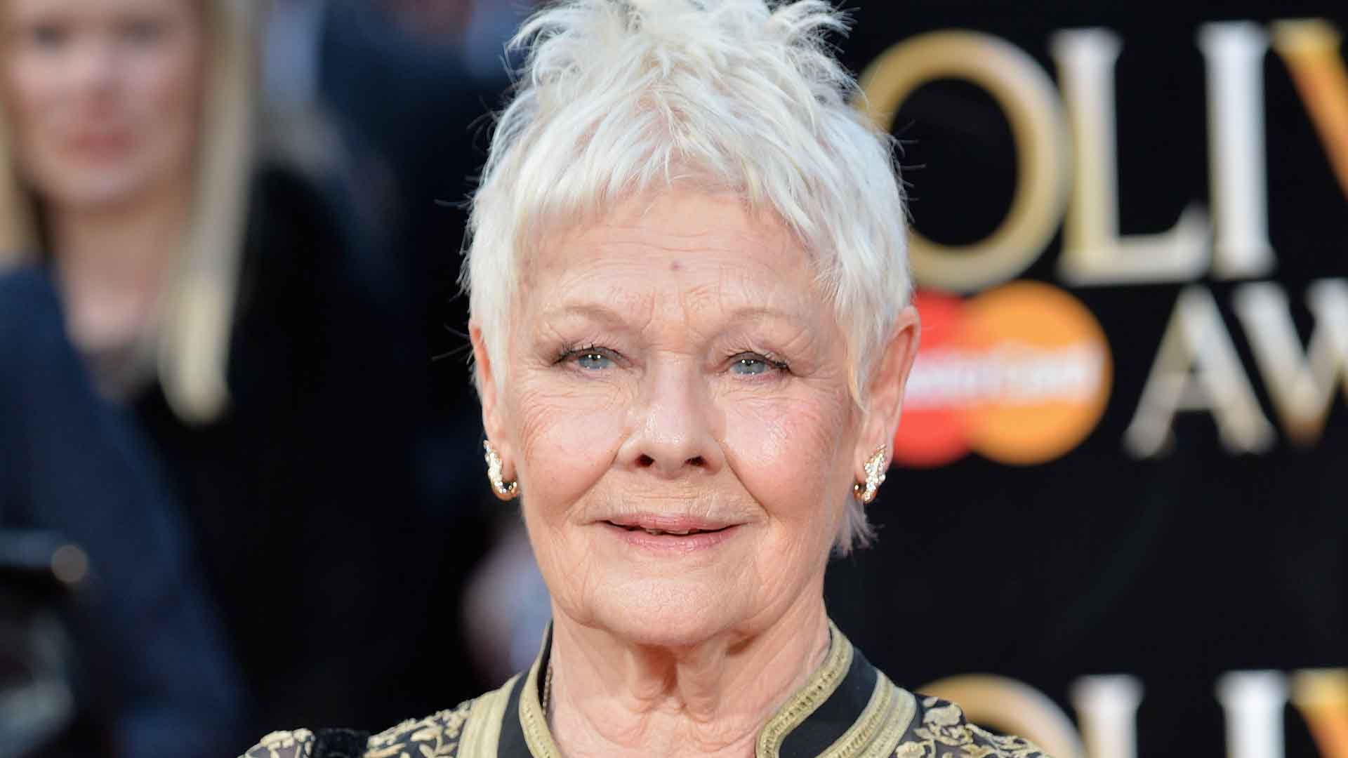 Watch Access Hollywood Interview: Judi Dench Joins Grandson For Another