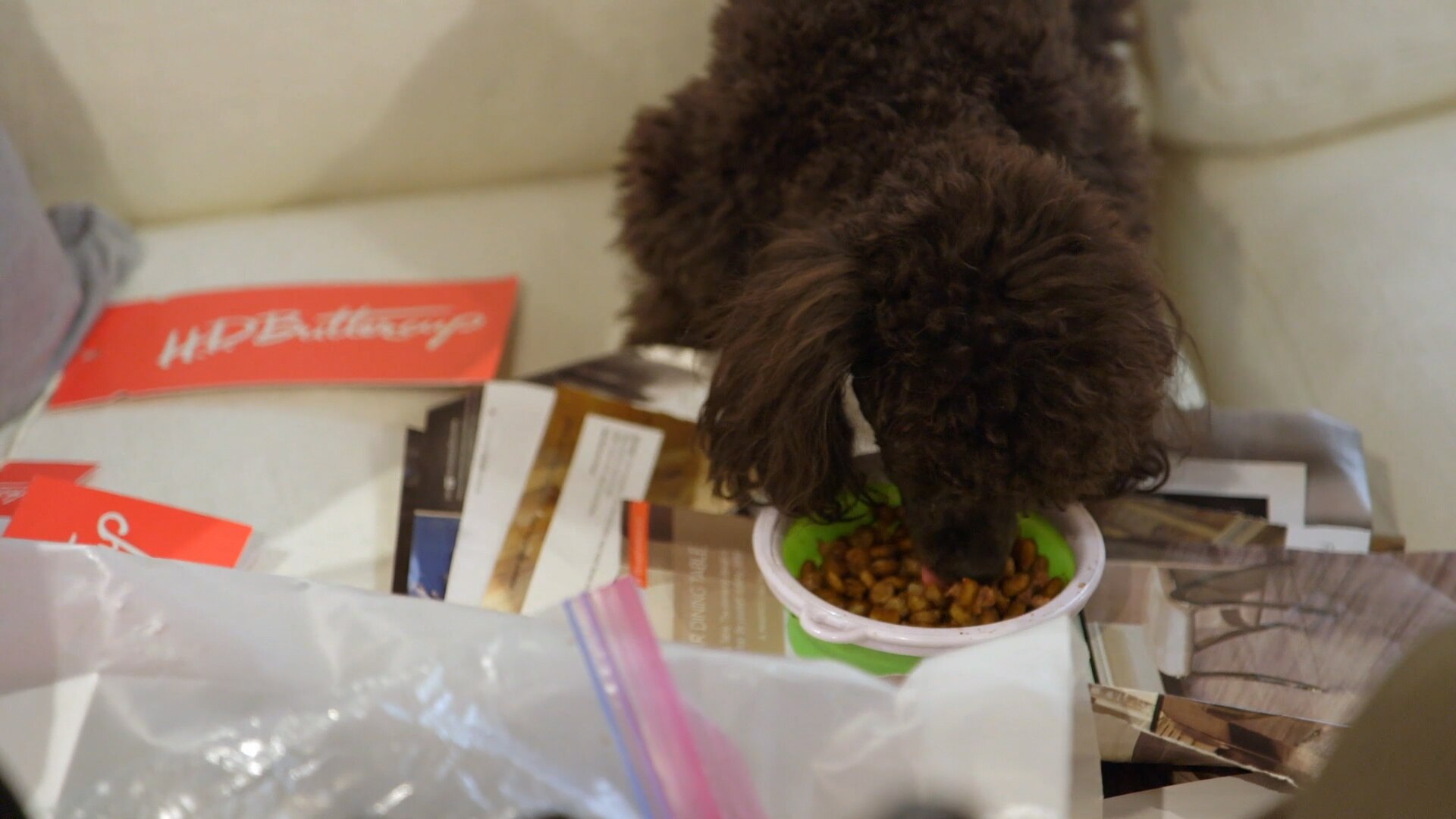 Watch Flipping Out Excerpt Would You Let Your Dog Eat in a High End