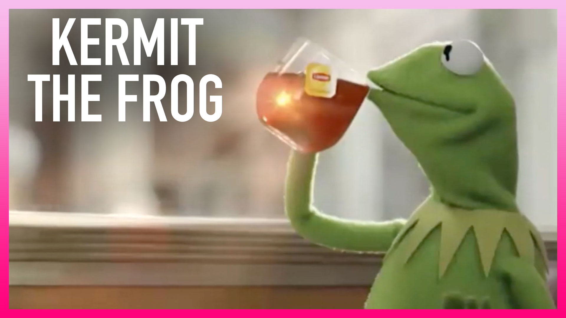 Watch The Kelly Clarkson Show Highlight: Kermit The Frog's Thoughts On