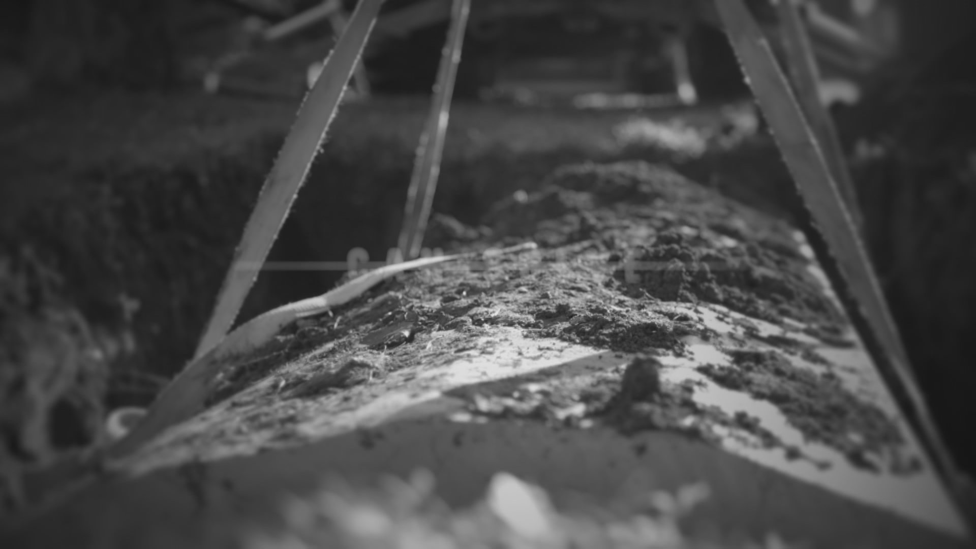 Watch Exhumed Episode: A Murderer Among Us - NBC.com