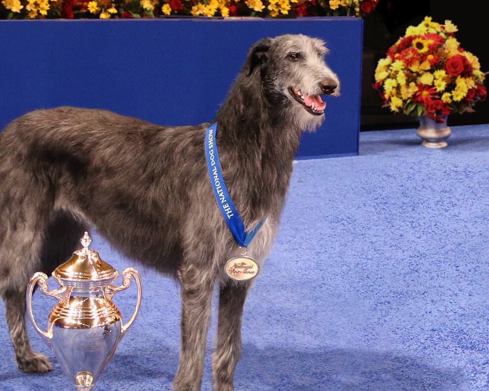 The National Dog Show Presented by Purina