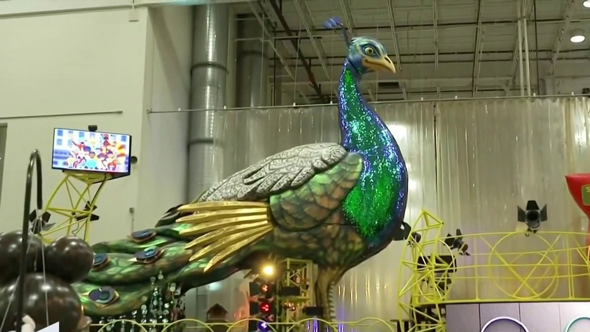 Watch Hoy Día Highlight Peacock participará en el tradicional desfile