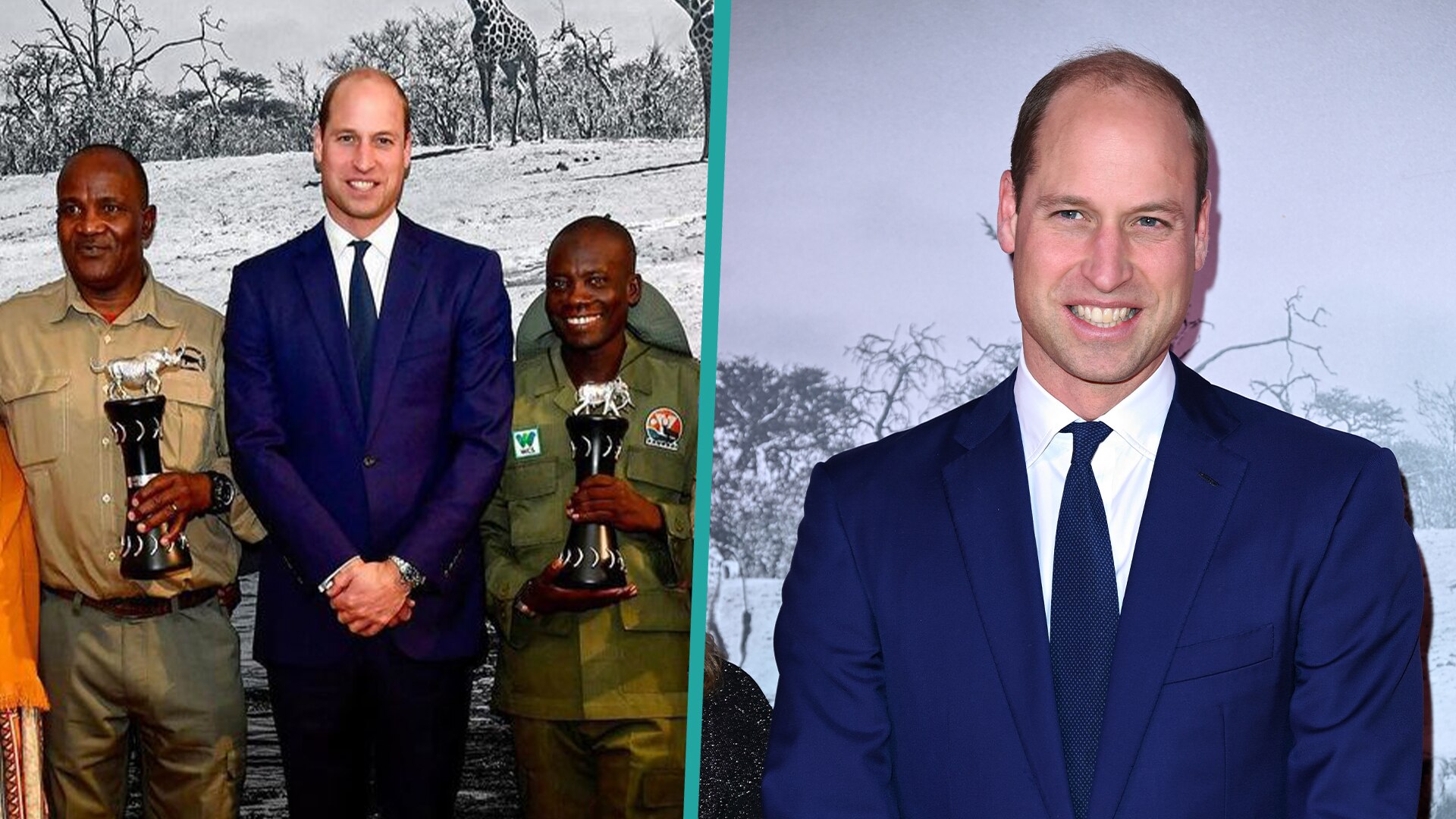 Watch Access Hollywood Highlight Prince William Honors Wildlife