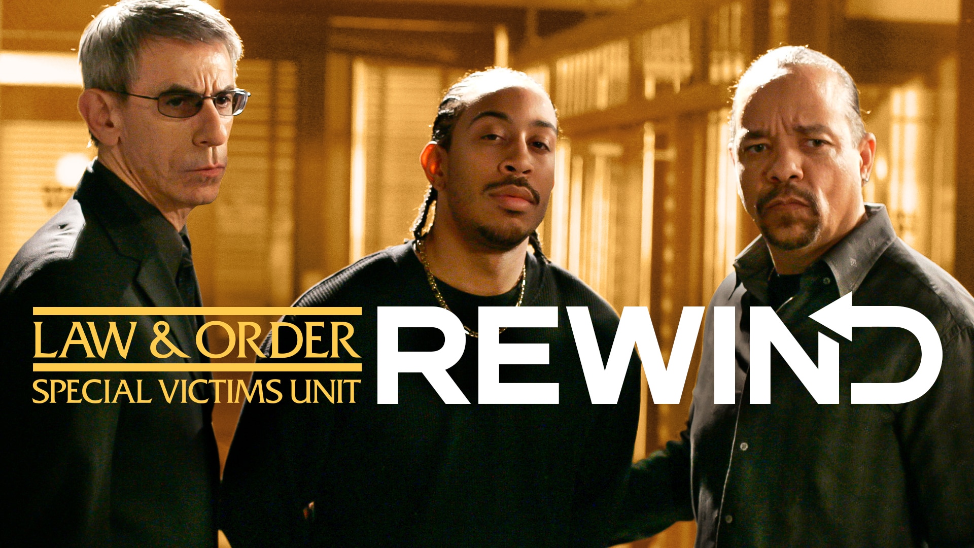 Watch Law & Order: Special Victims Unit Web Exclusive: Fin's Family