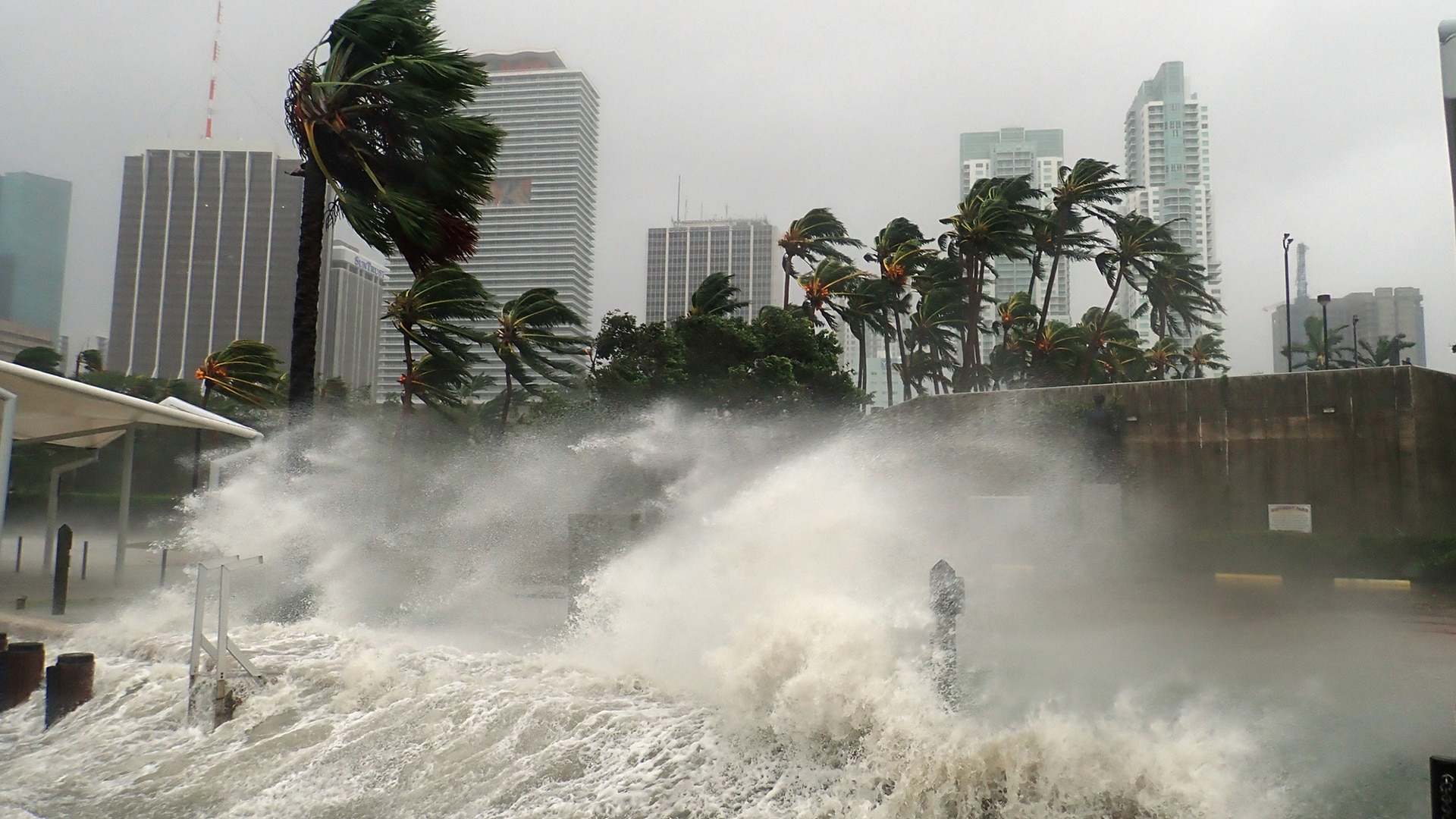 Watch hoy Día Highlight antes la temporada de huracanes