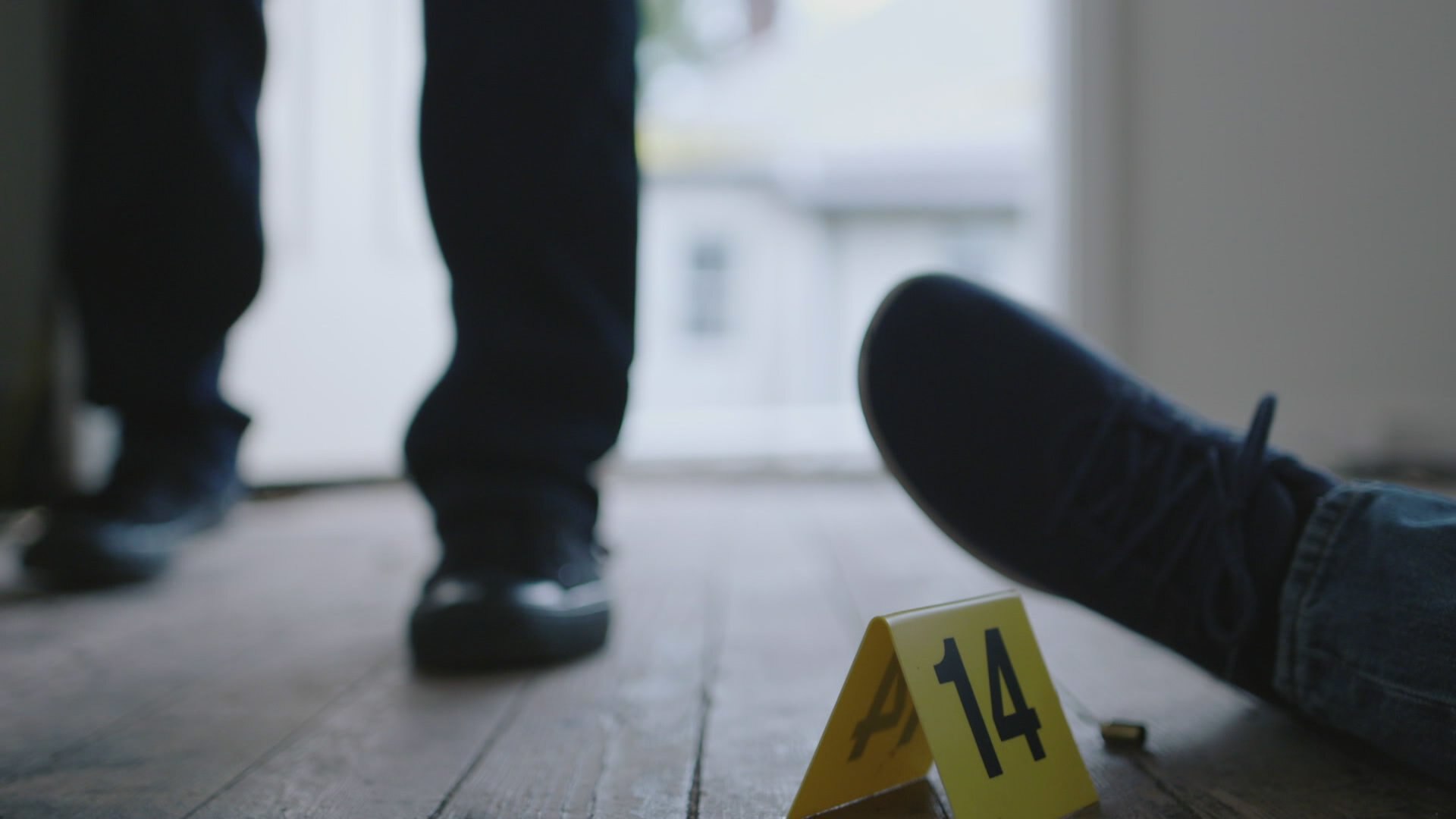 Watch Snapped Episode Wanda Haithcock