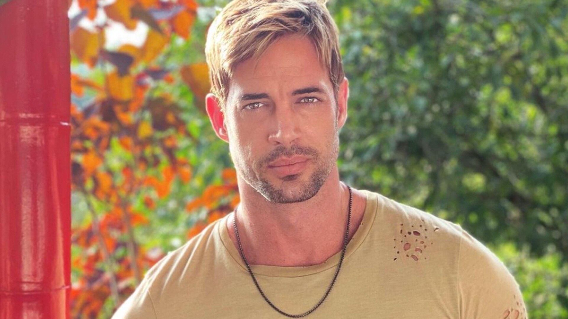 Films Et Séries Tv Avec William Levy Watch En Casa con Telemundo Highlight: William Levy nos cuenta cómo
