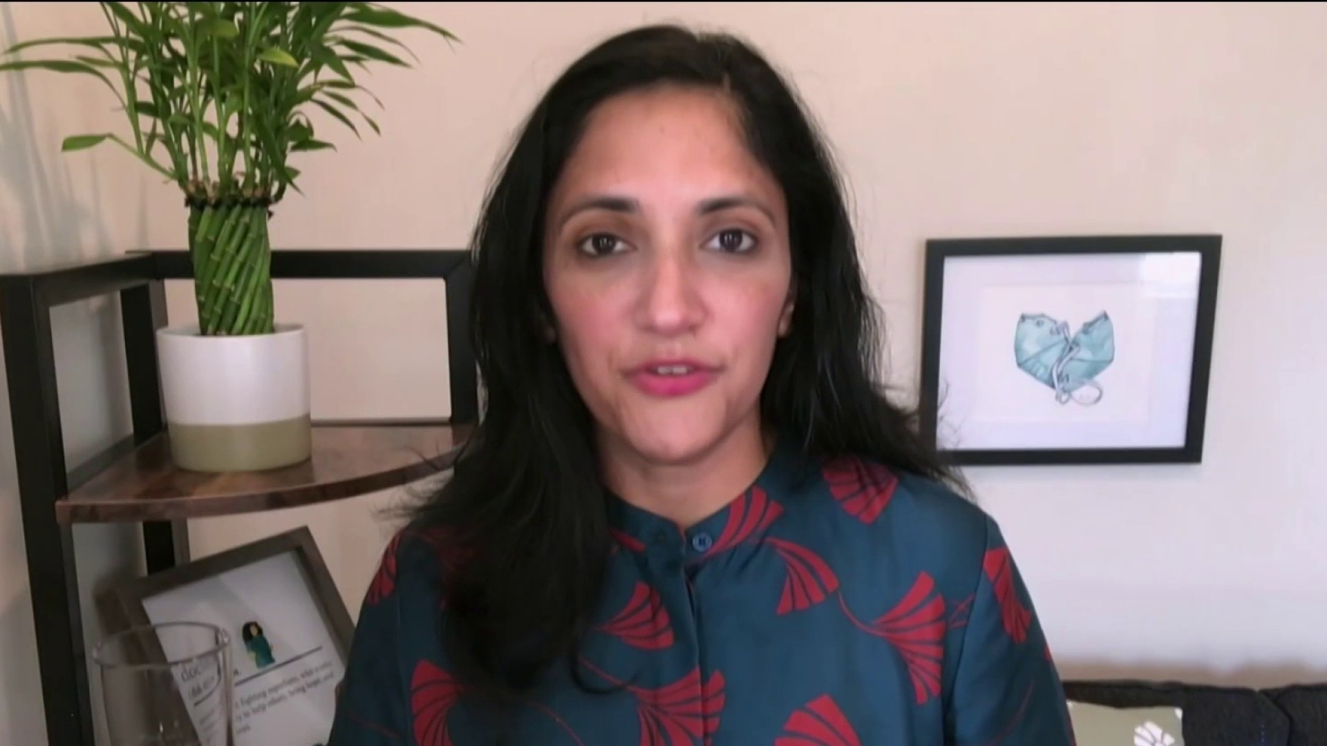 Watch NBC Nightly News with Lester Holt Excerpt: Dr. Kavita Patel ...