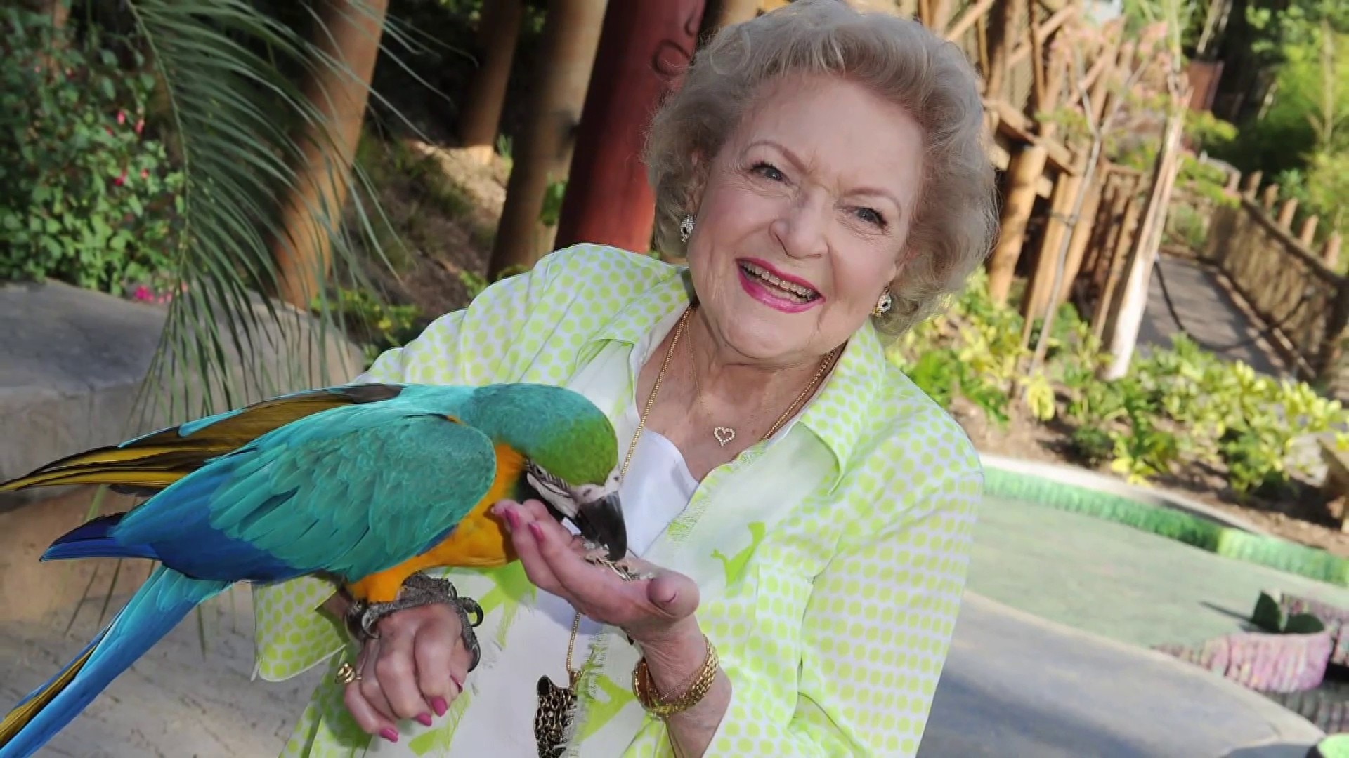 Watch TODAY Excerpt Betty White challenge helps animal rescue
