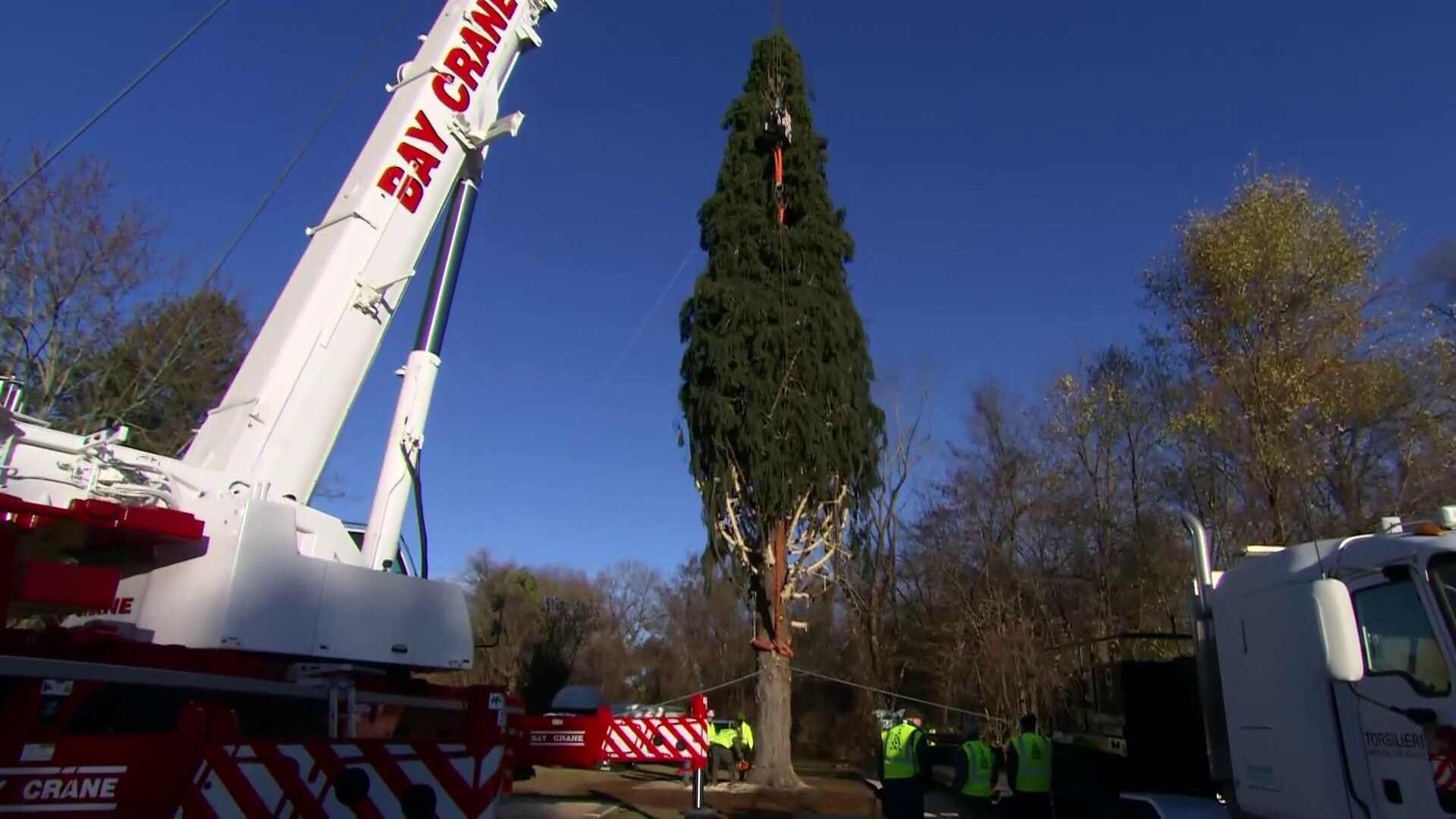 Watch TODAY Excerpt Rockefeller Center Christmas tree set to begin its