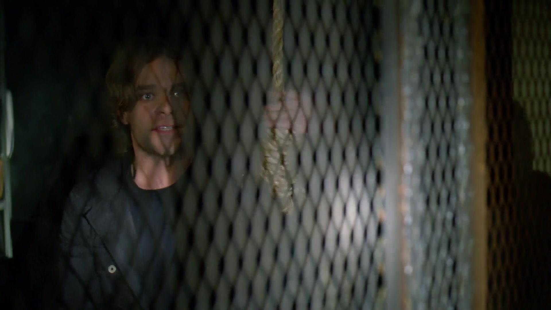 Watch Law & Order Special Victims Unit Episode Zebras