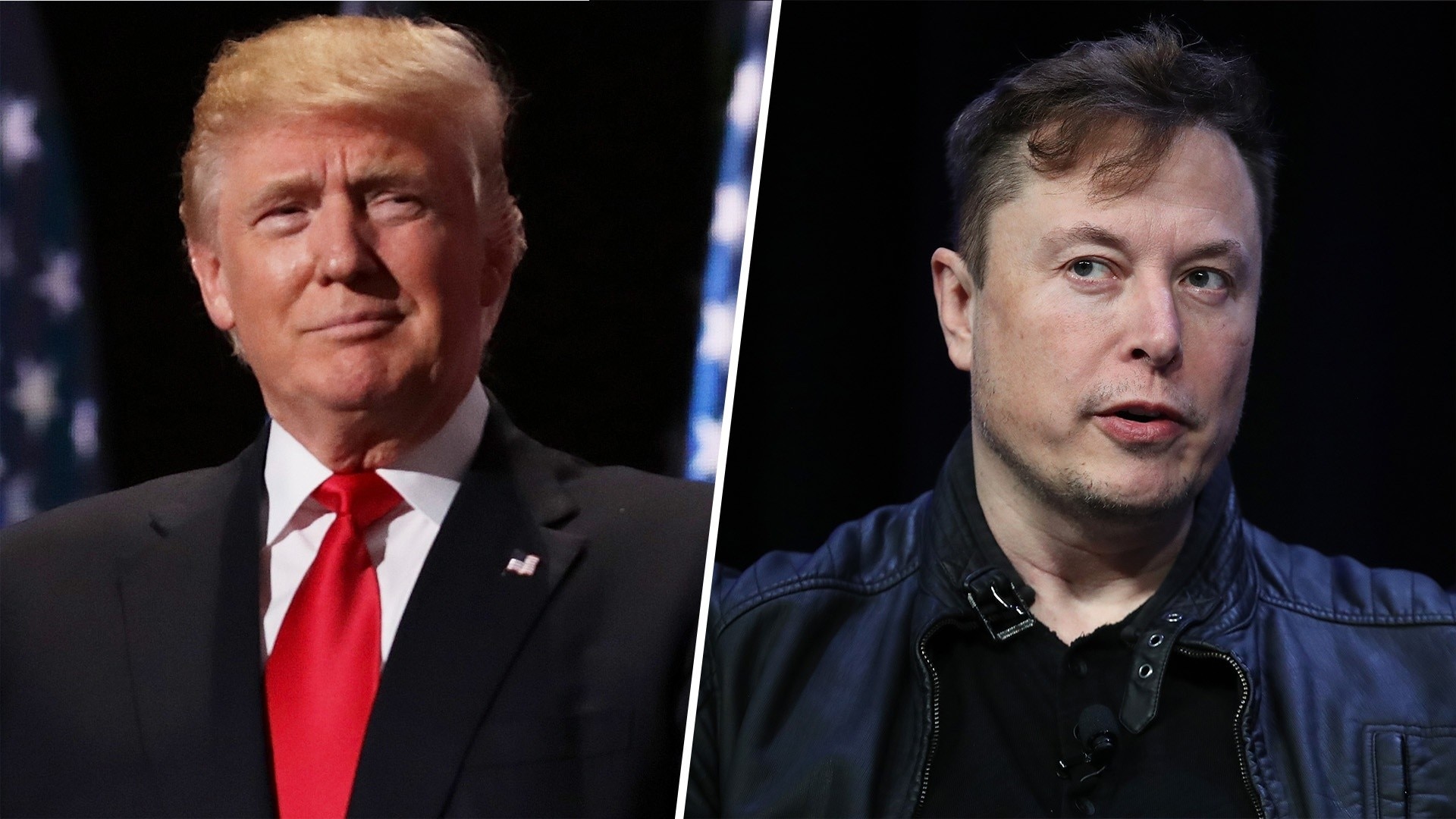 Watch Today Excerpt Elon Musk Reinstates Donald Trumps Twitter Account 