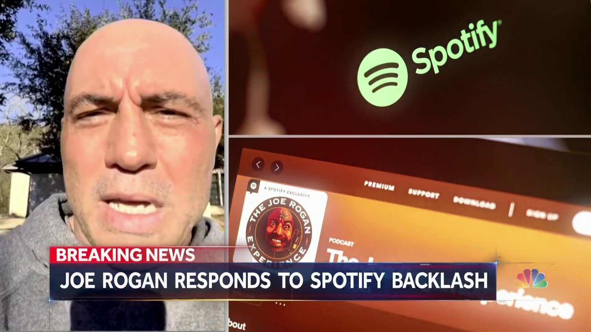 Watch NBC Nightly News with Lester Holt Excerpt Joe Rogan breaks